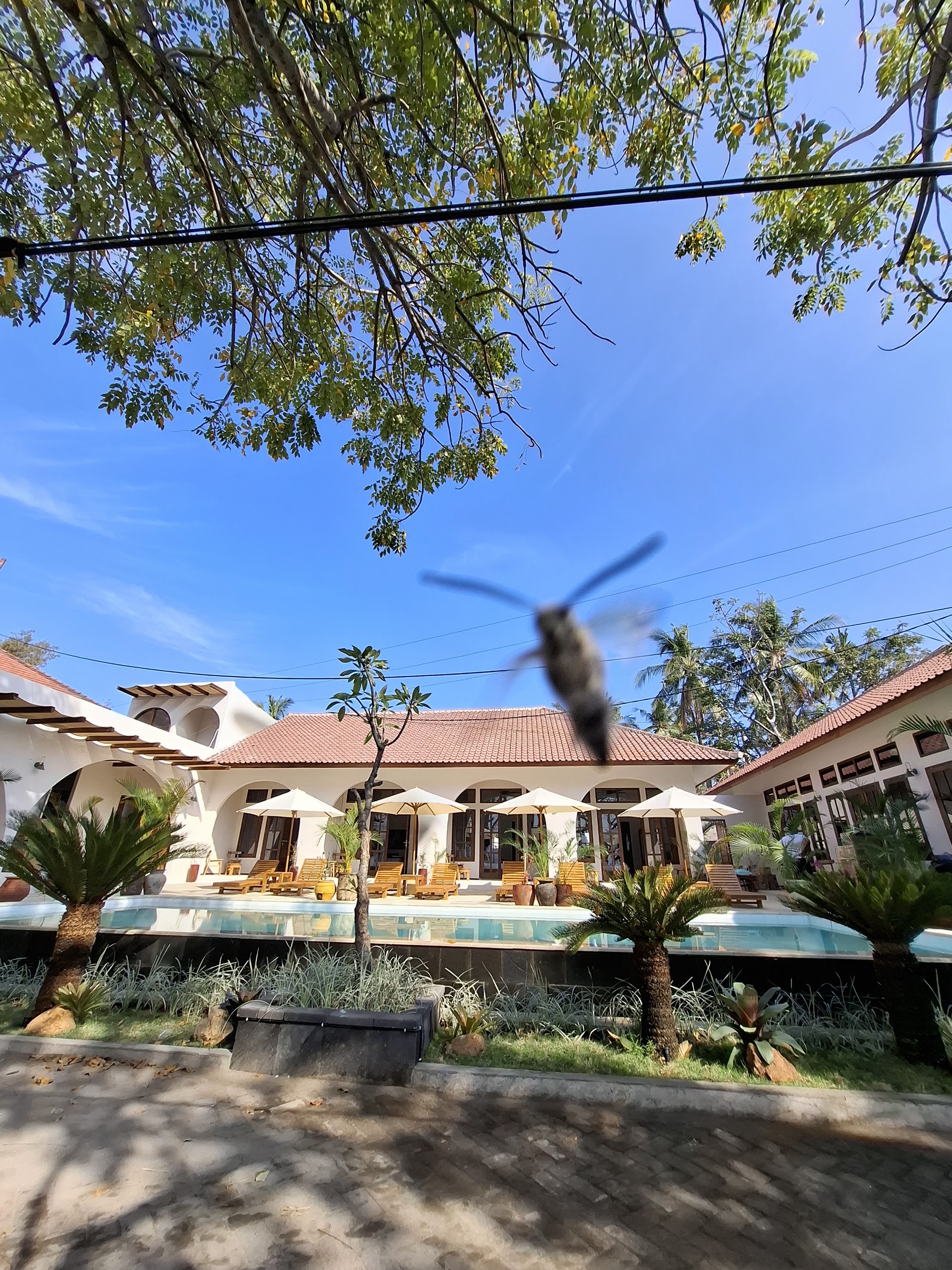 Dream Divers by Extra Divers | Gili Air
