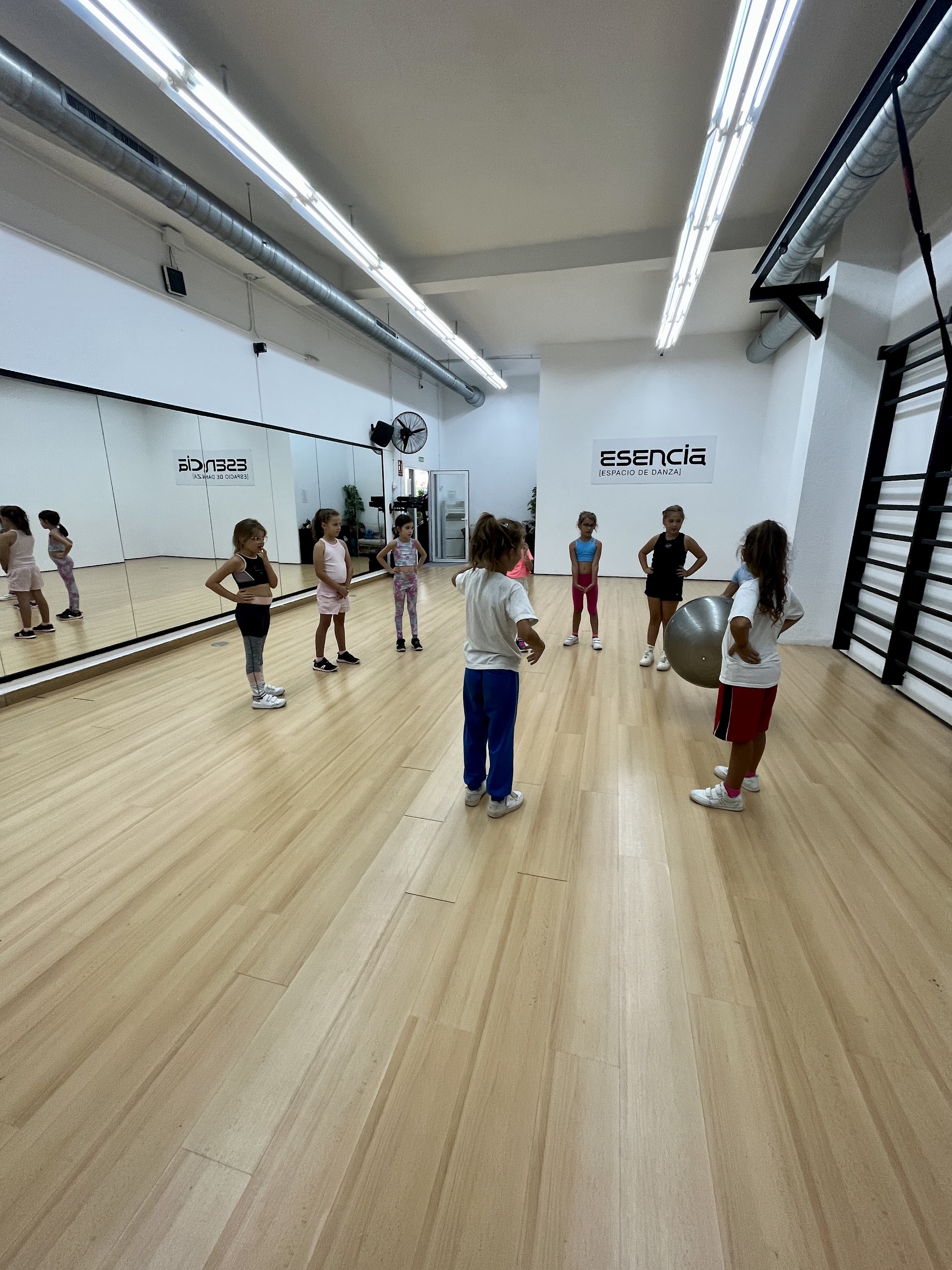 Esencia espacio de danza