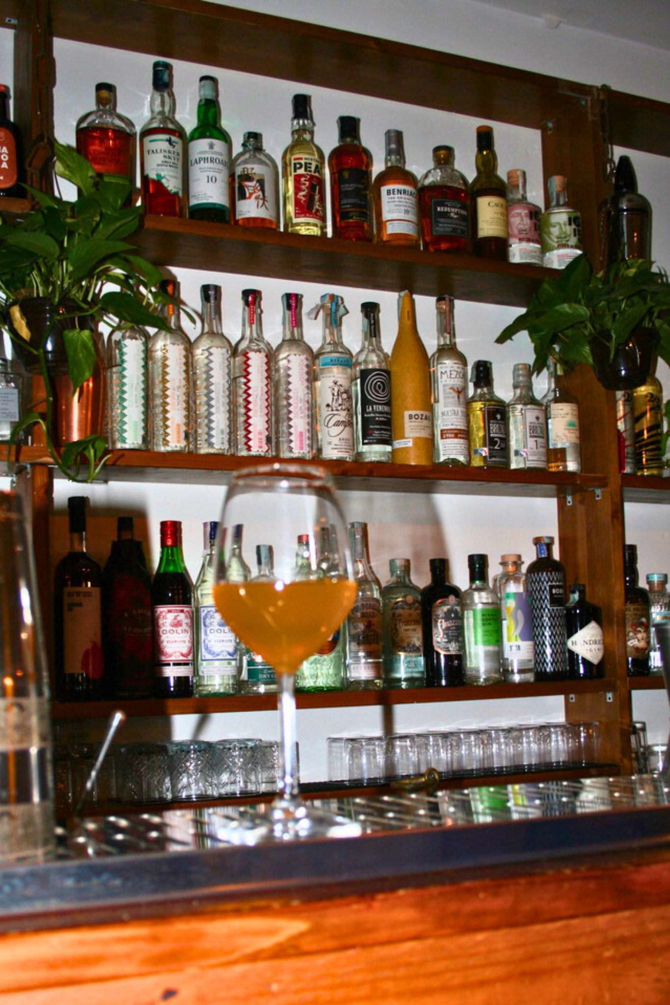 SUONO • Drinks & Records