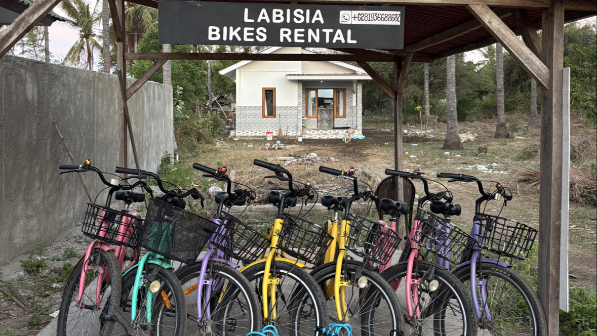 Bike services(labisia bike rental)