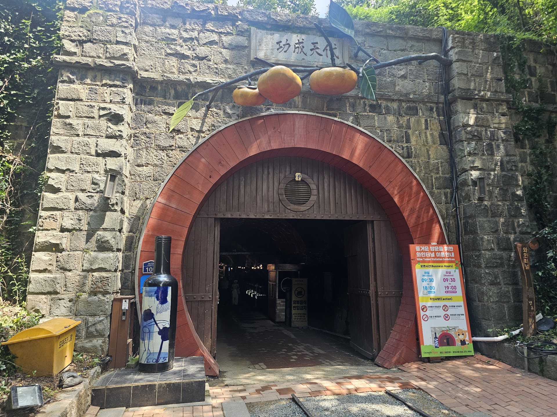 Cheongdo Wine Tunnel