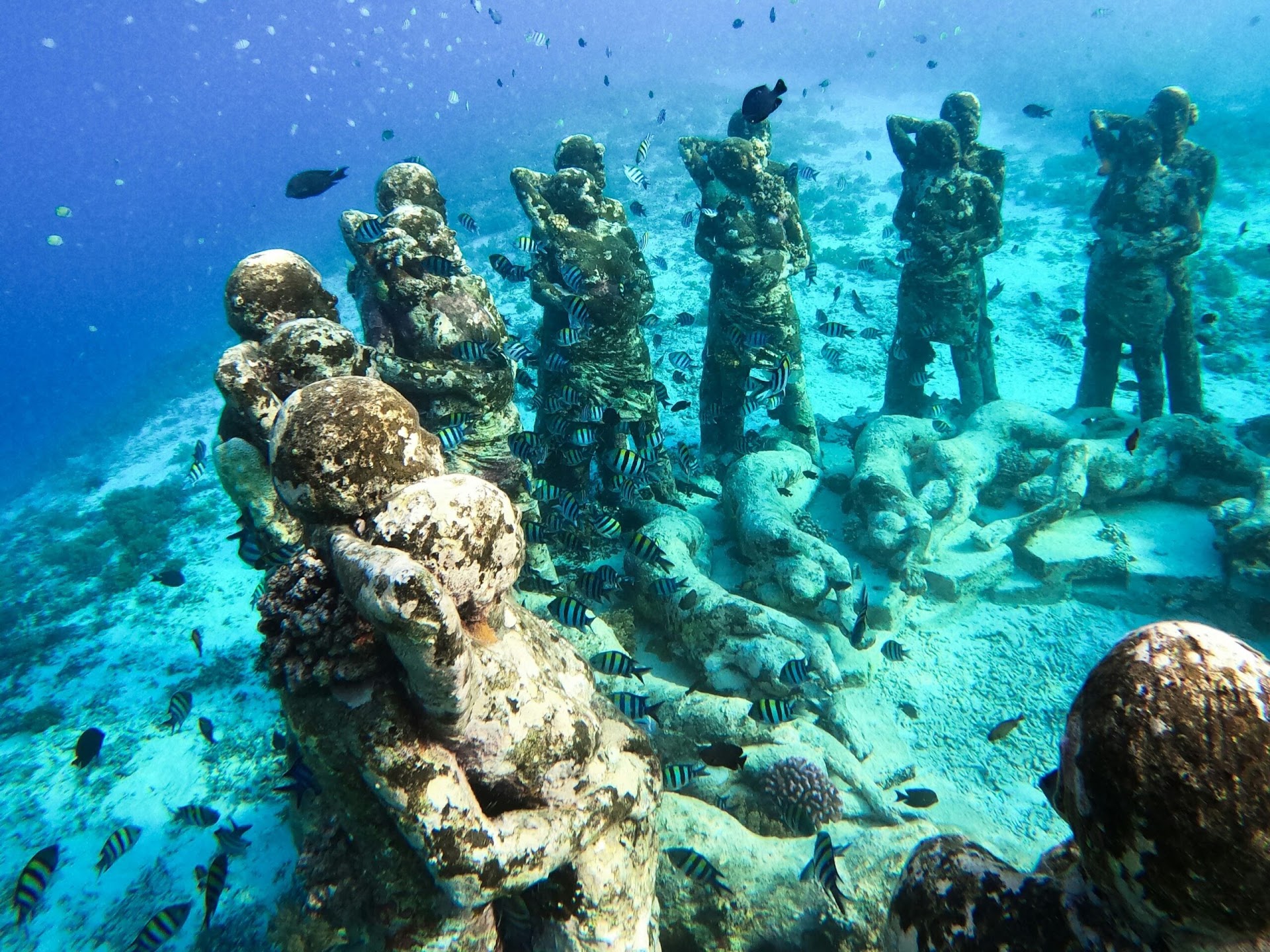 Snorkeling in Gili Trawangan | GST (Gili Snorkel Trips)