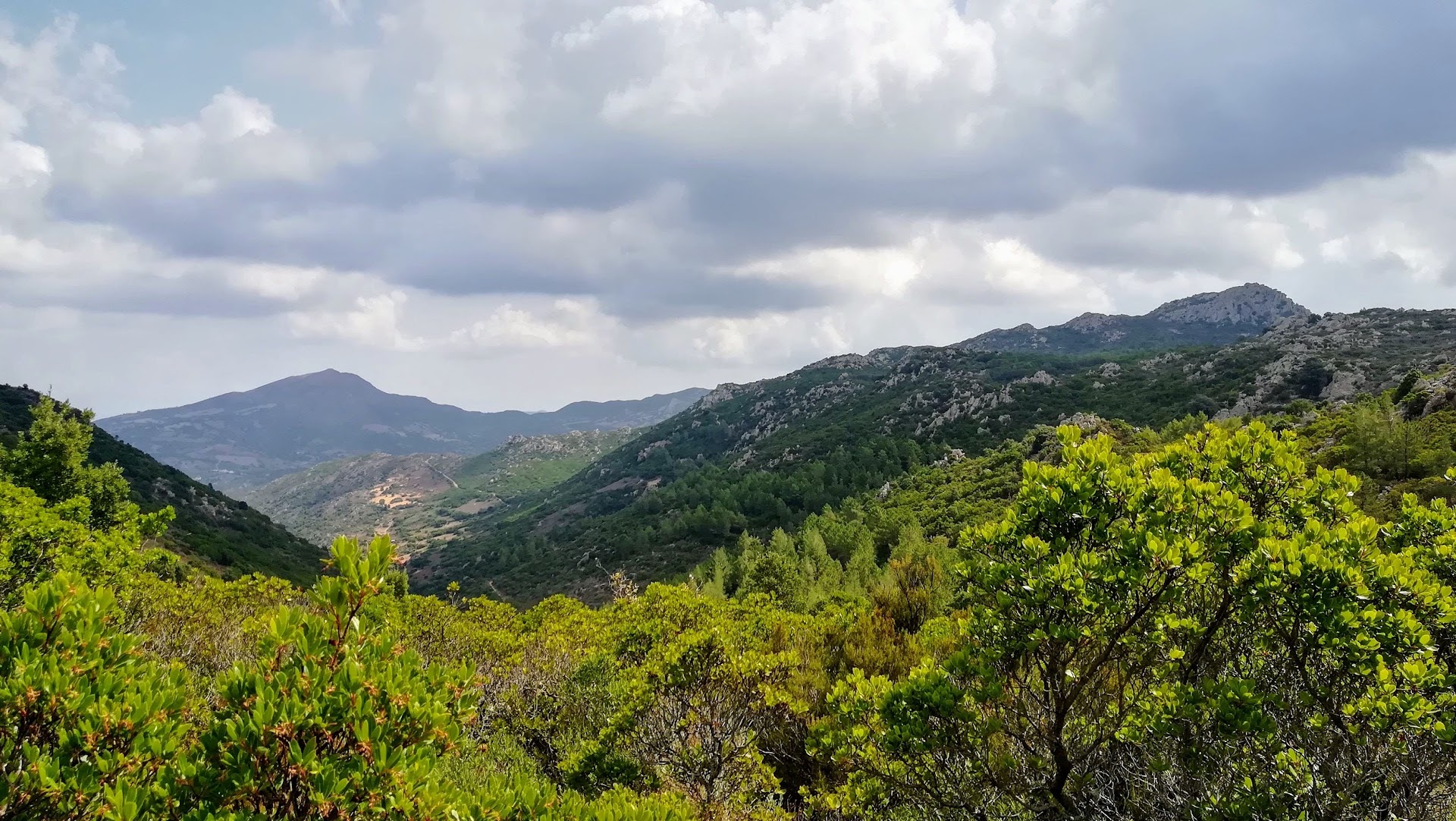 Foresta Demaniale di Sorilis