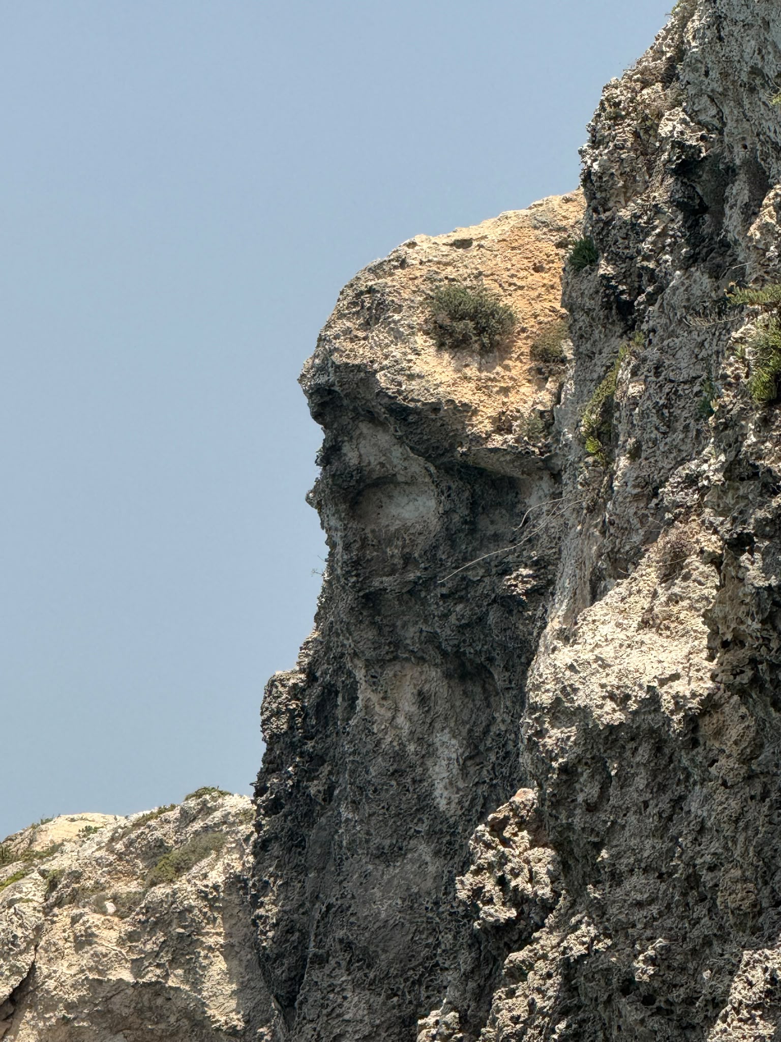 Testa del Polpo (Davy Jones's Head)