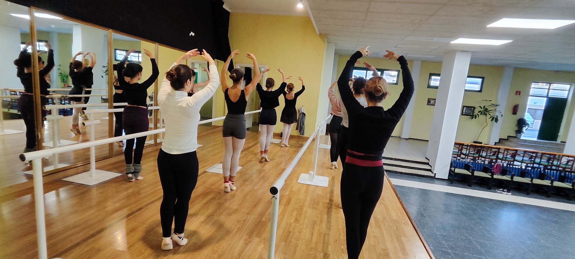 Tera Barra Ballet