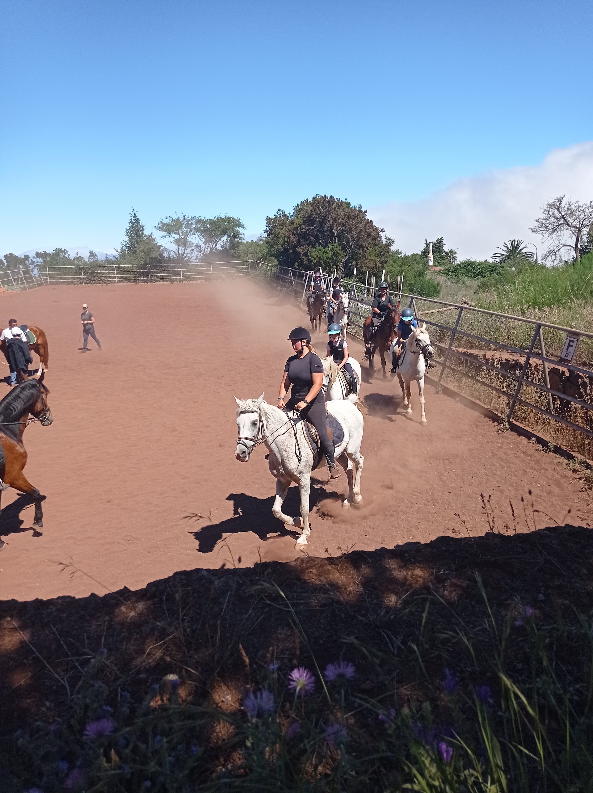 Centro Hípico DELNORTE
