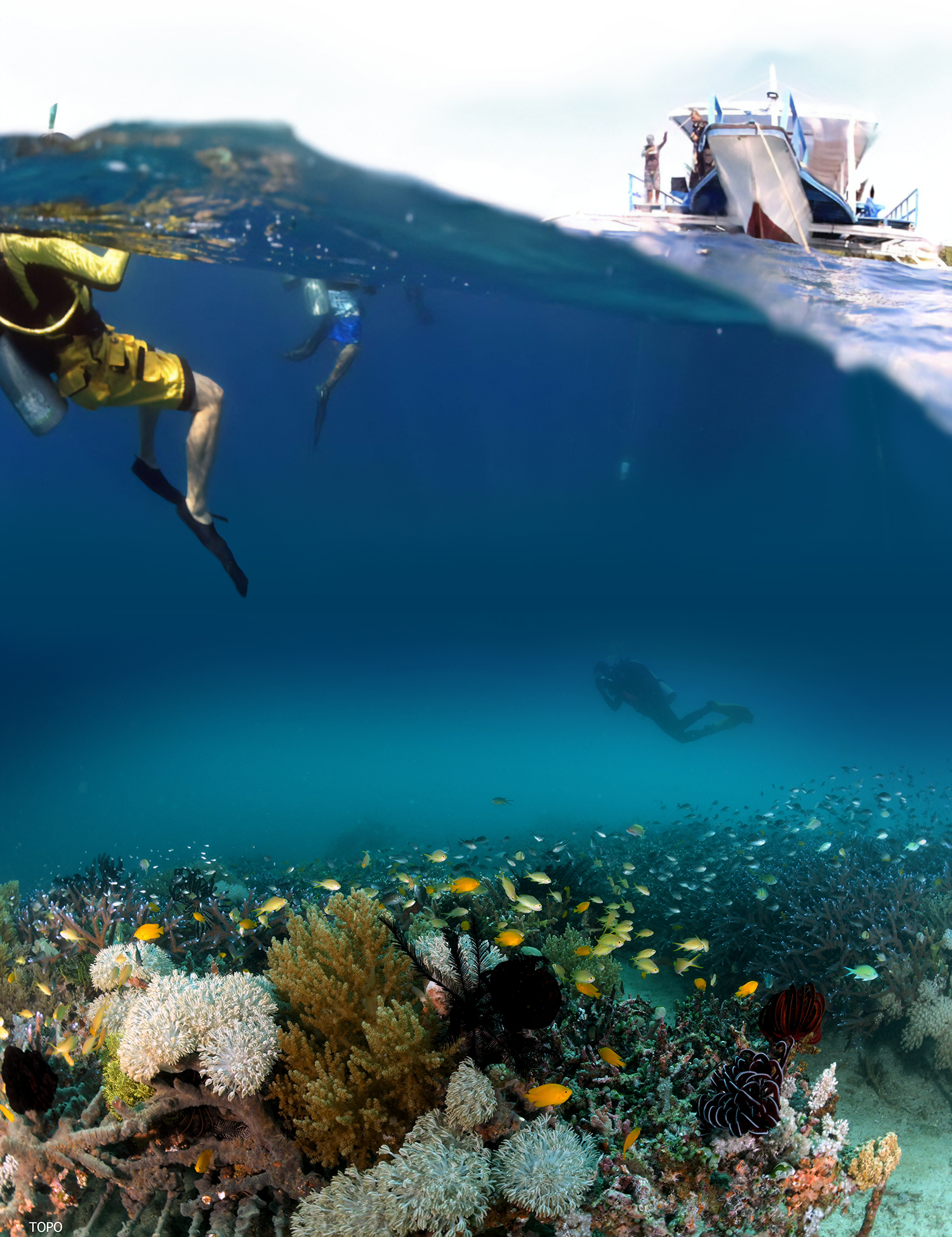 Scuba De Oro