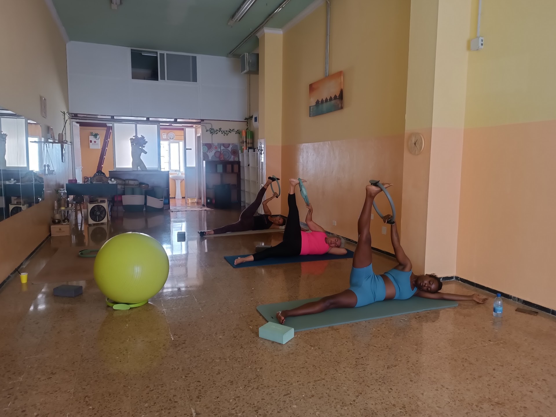 Fedra Cuerpo Y Mente