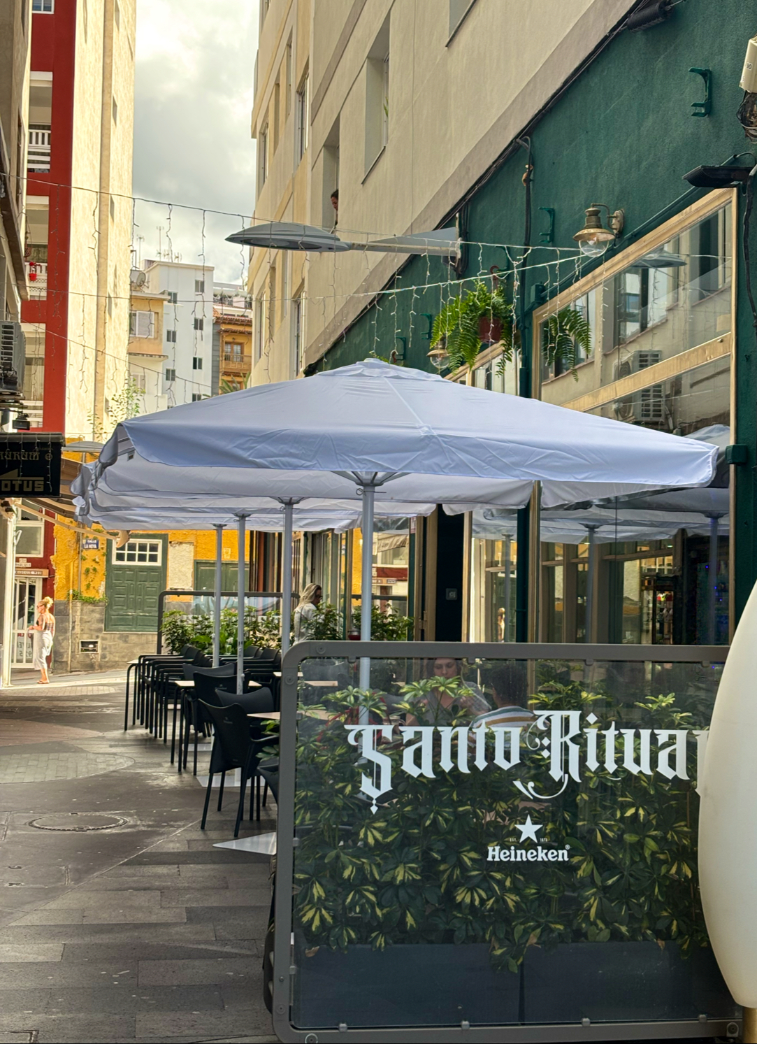 Santo Ritual