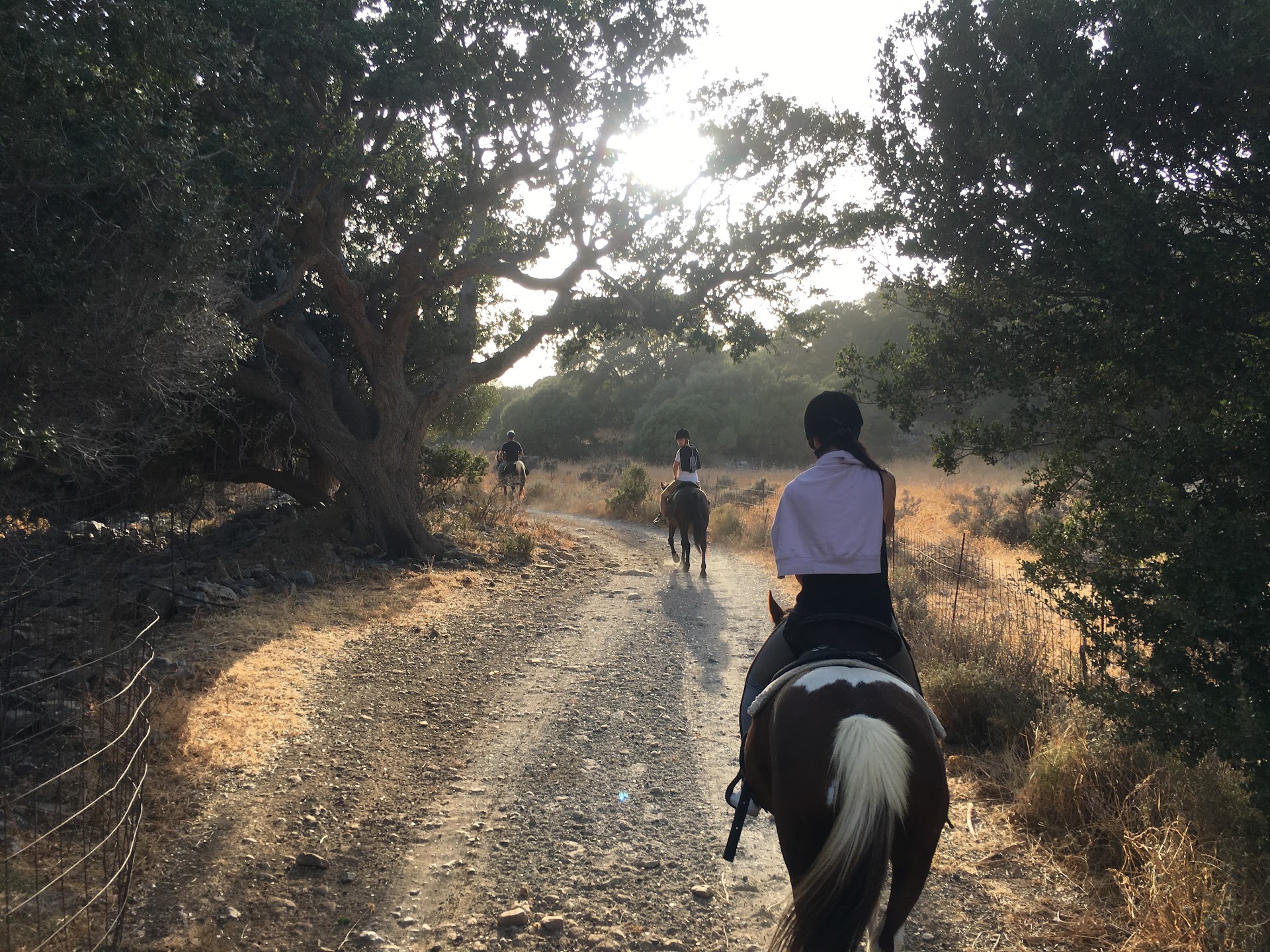 Horseback Riding in Flampouria