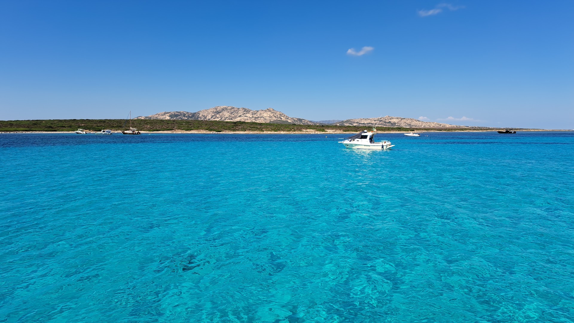 Asinara Charter Service