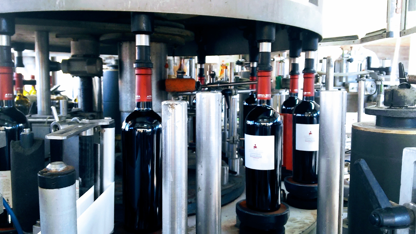 Educational wine tours - Cantina Atha Ruja Poderi Dorgali