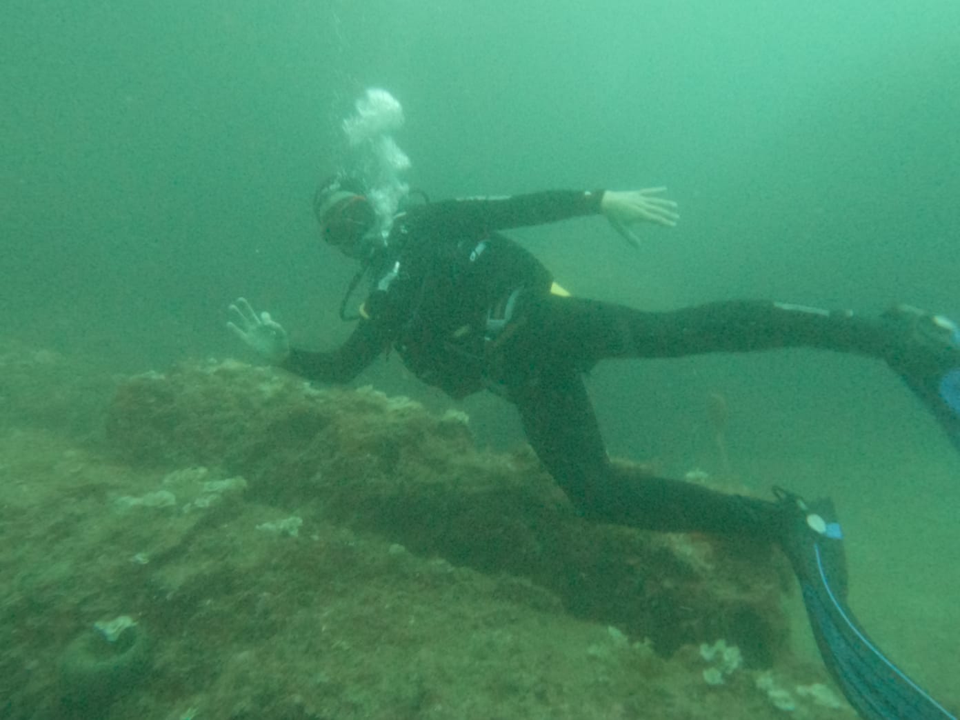 Blue Sea Diving Center