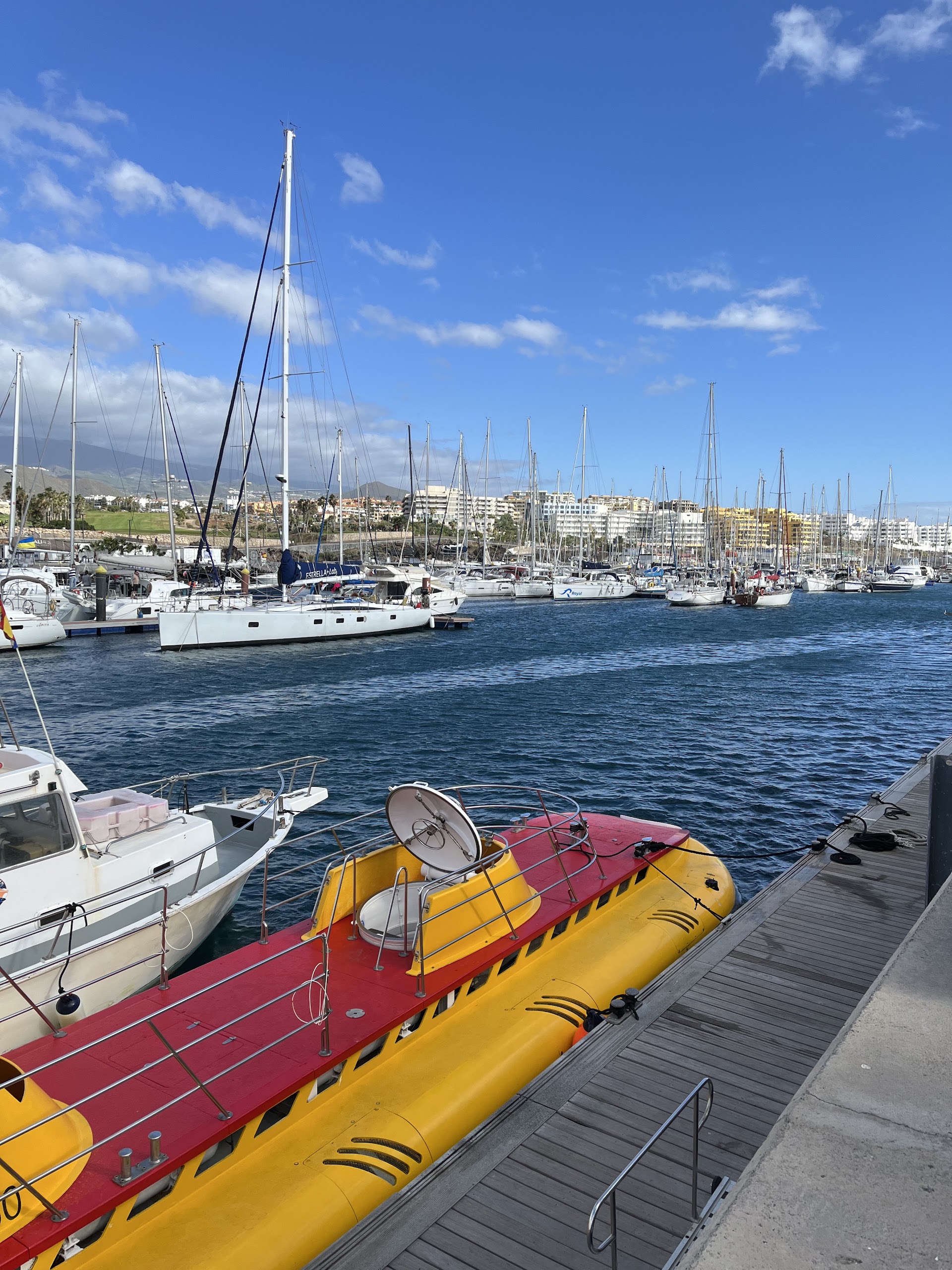 Amarilla Marina