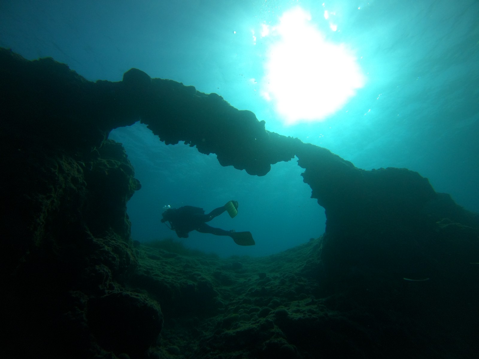 Yrian Dive - Boat