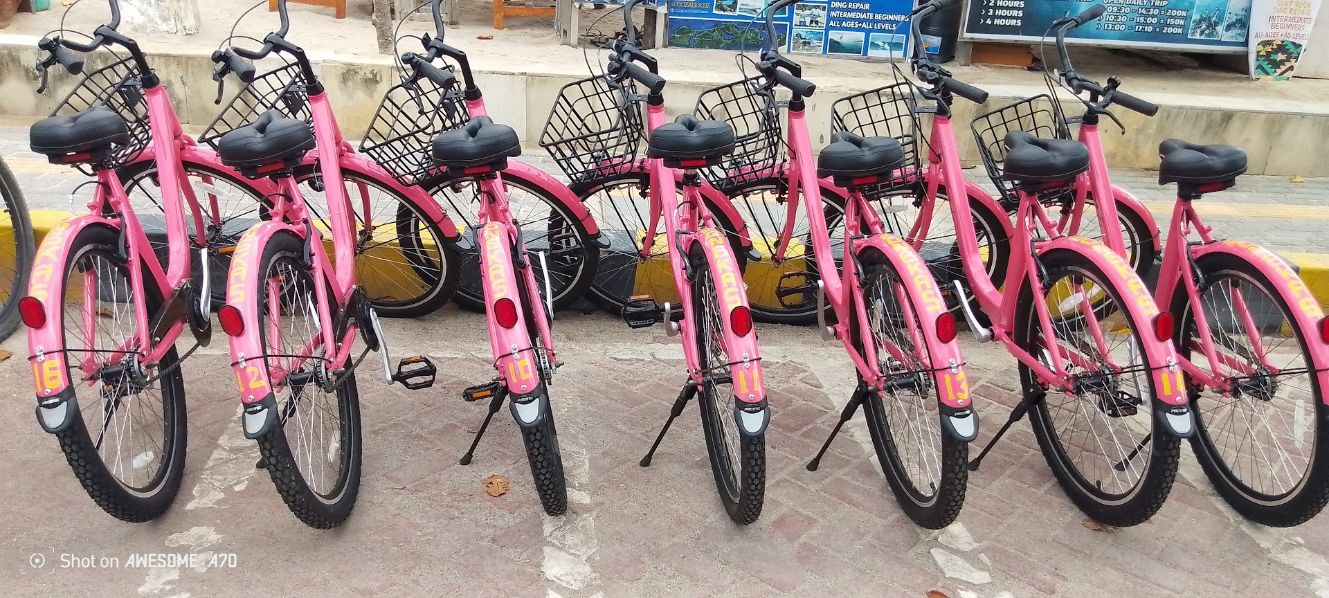 BONGKAS Rent bike
