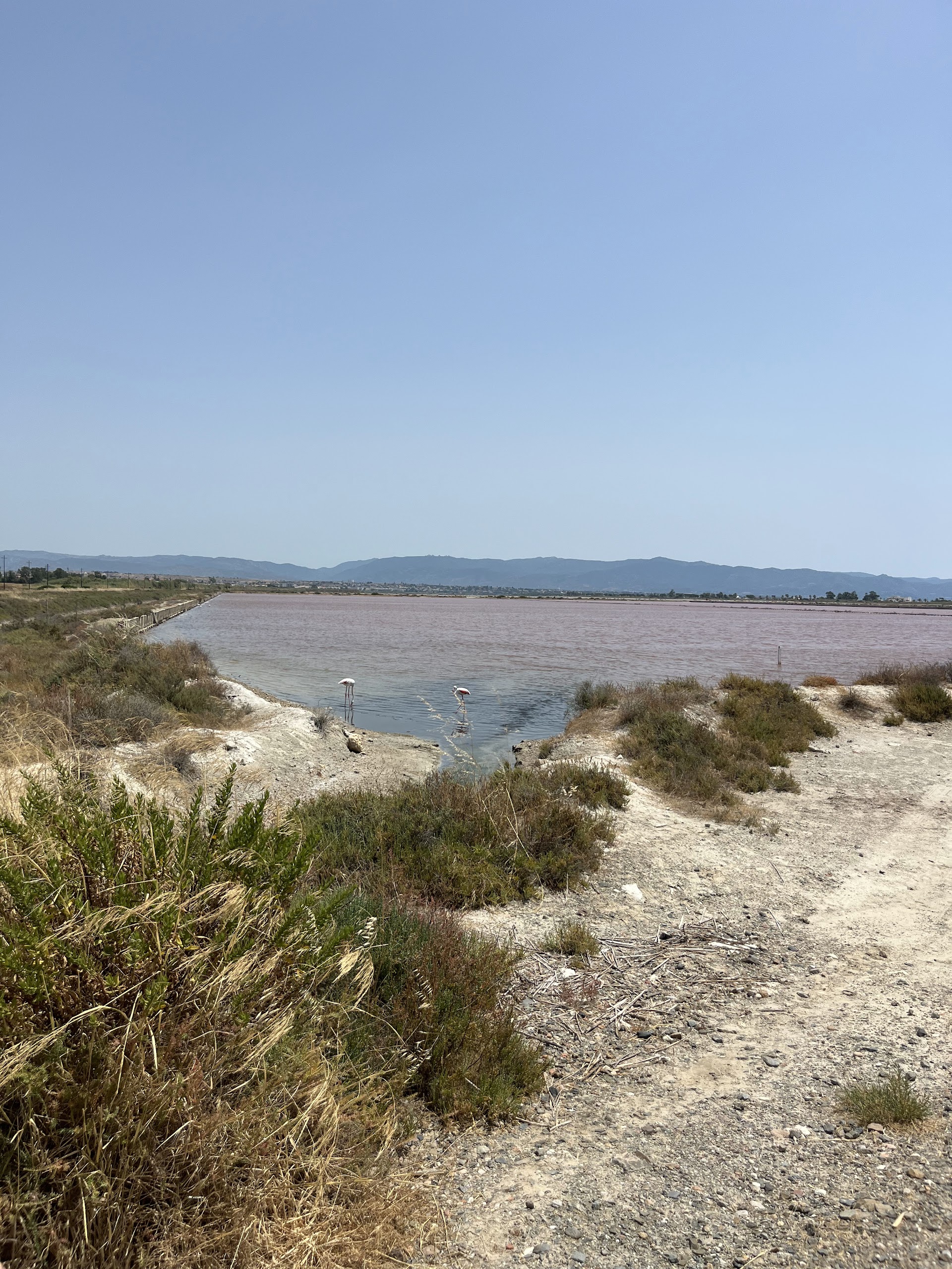 La Pedivella Cagliari