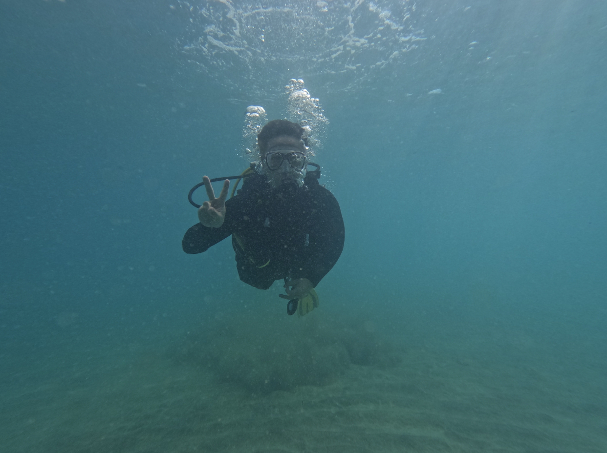 Tenerife Dive Experience - Buceo y snorkel en Costa Adeje