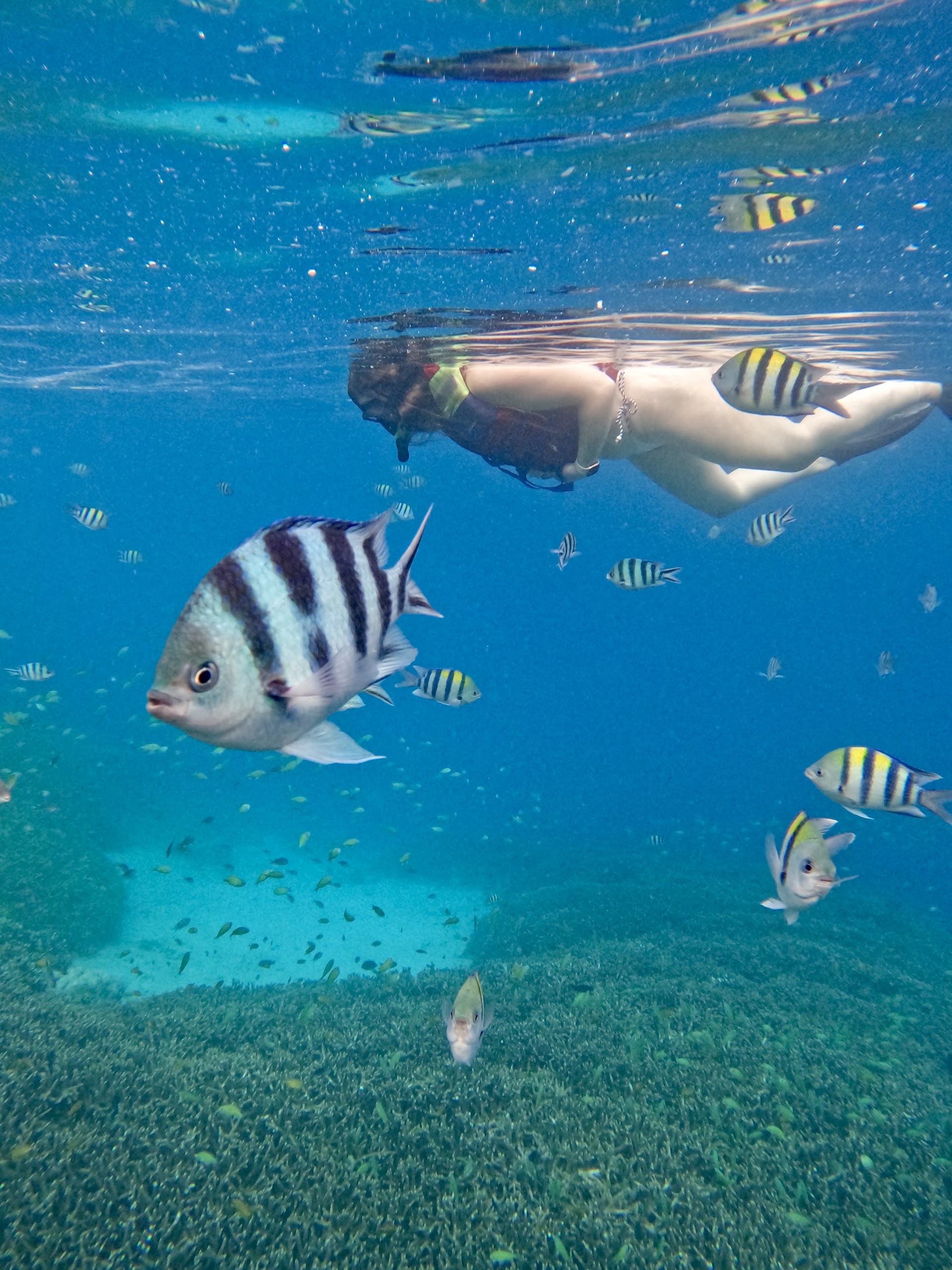 Snorkeling Tour 3 island