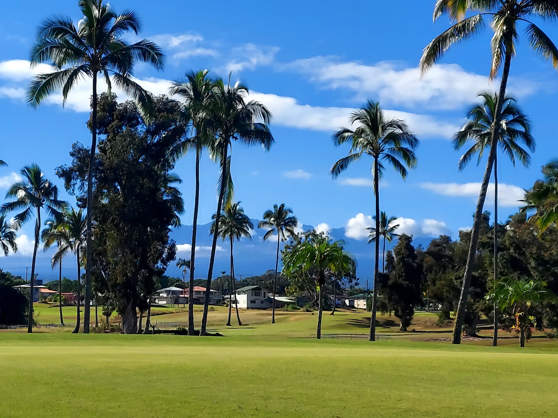 Hilo Municipal Golf Course