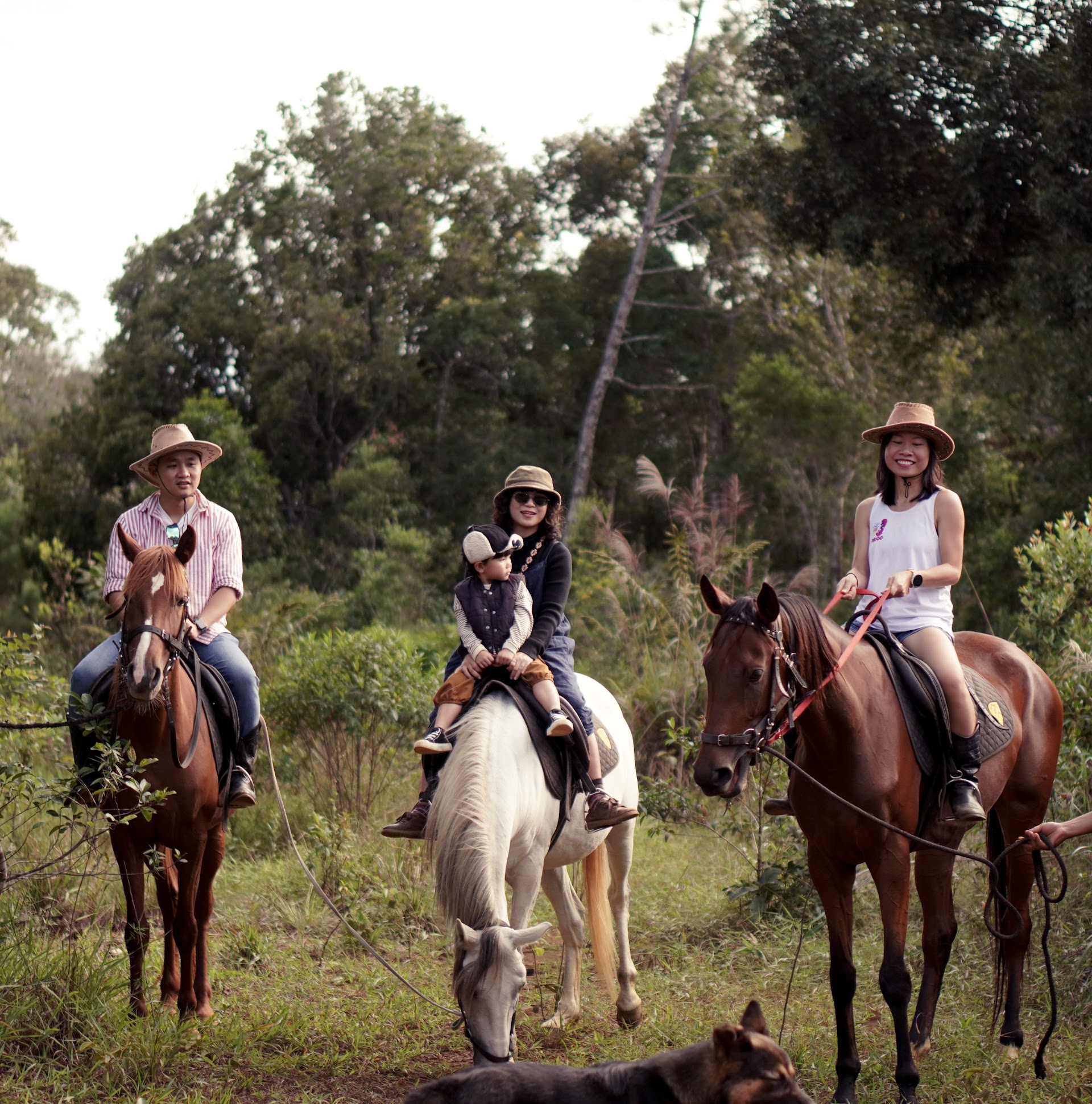 Horseback Riding in Mu Cuong