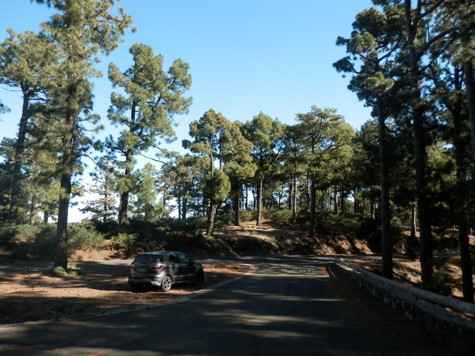 PR-LP S.CRUZ-PICO DE LA NIEVE