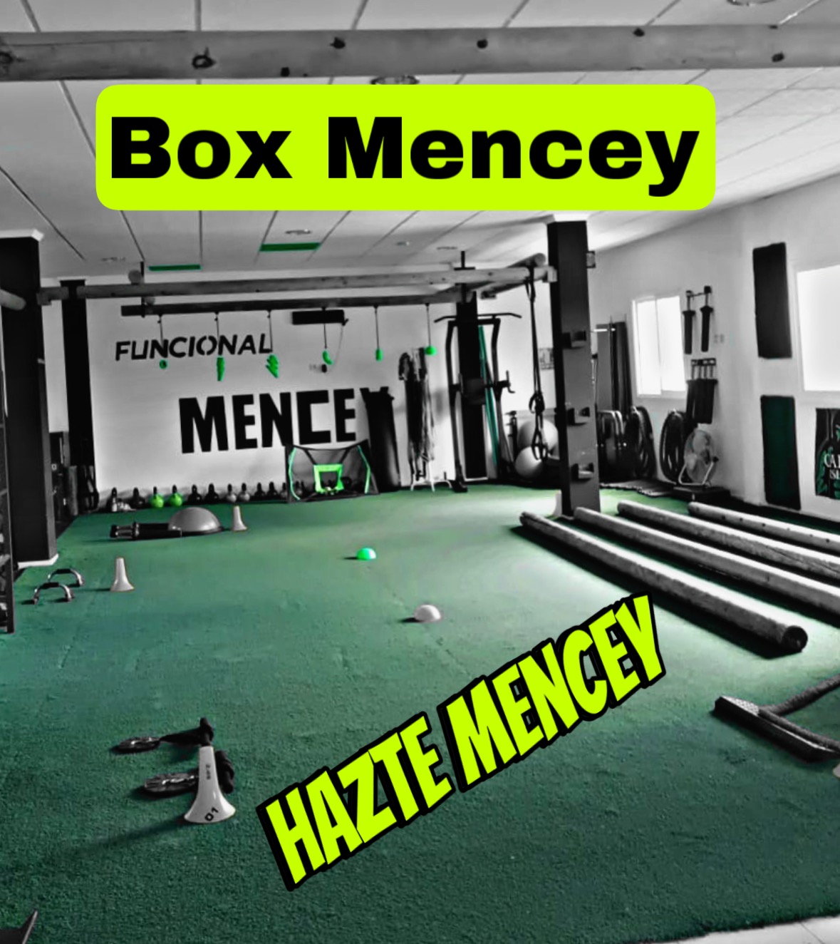 Box Mencey