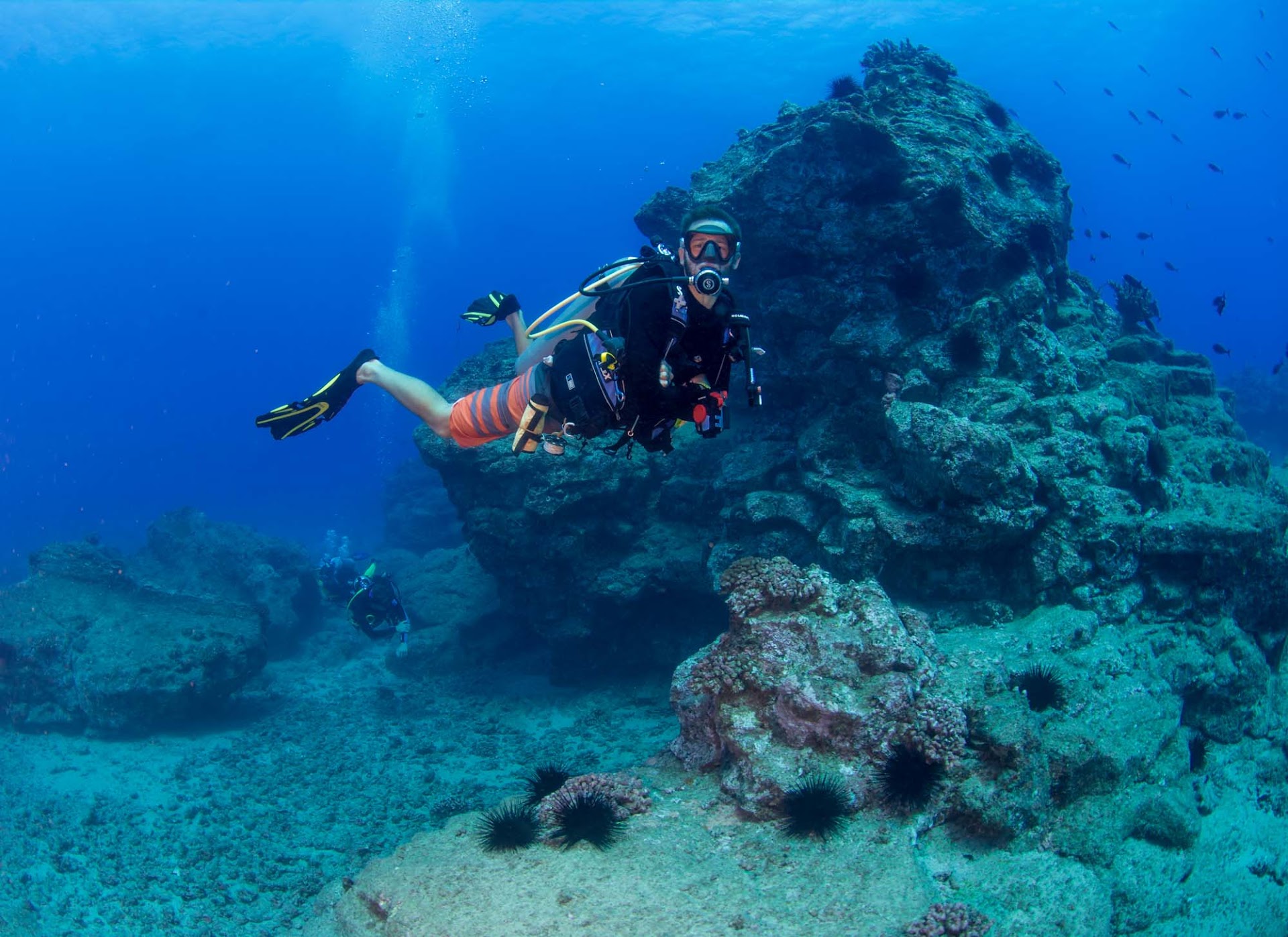 Dive Kauai Scuba Center - Shop