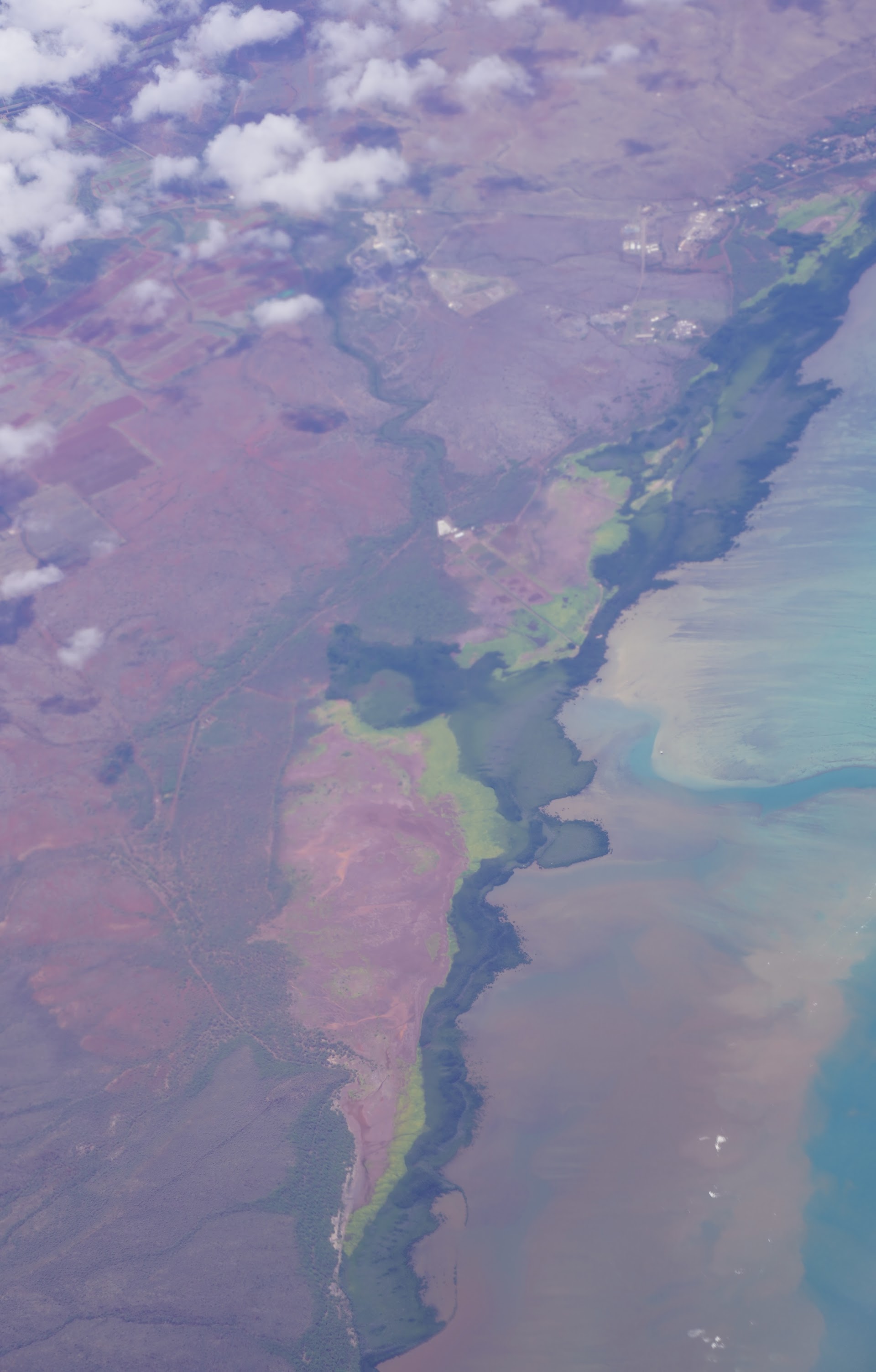 Kamakou Preserve