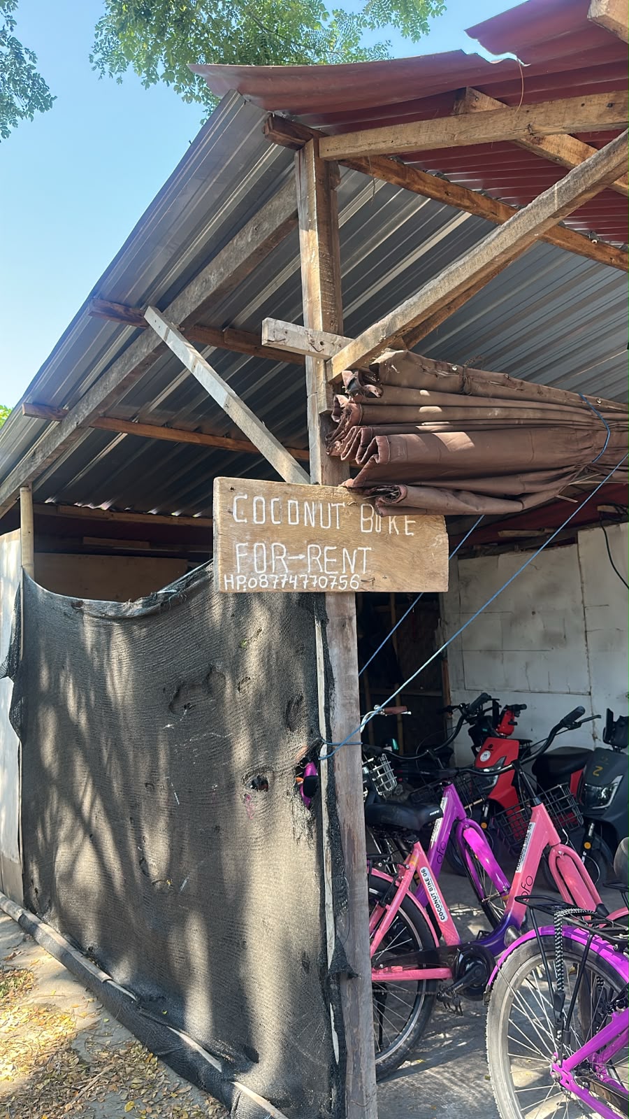 Coconut bike rentals