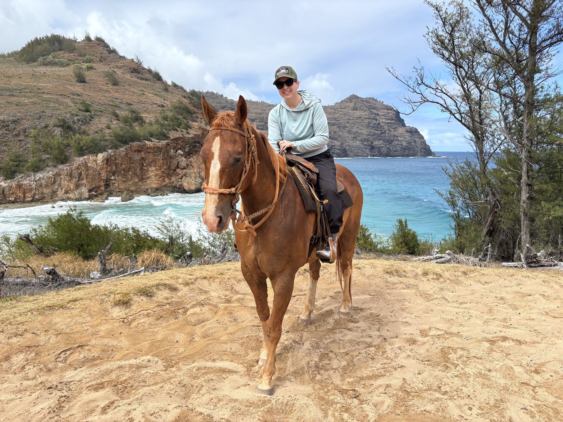 CJM Country Stables