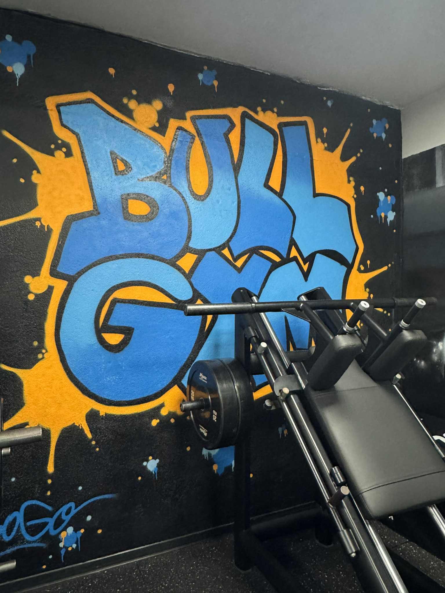Gyms & Fitness in corsica