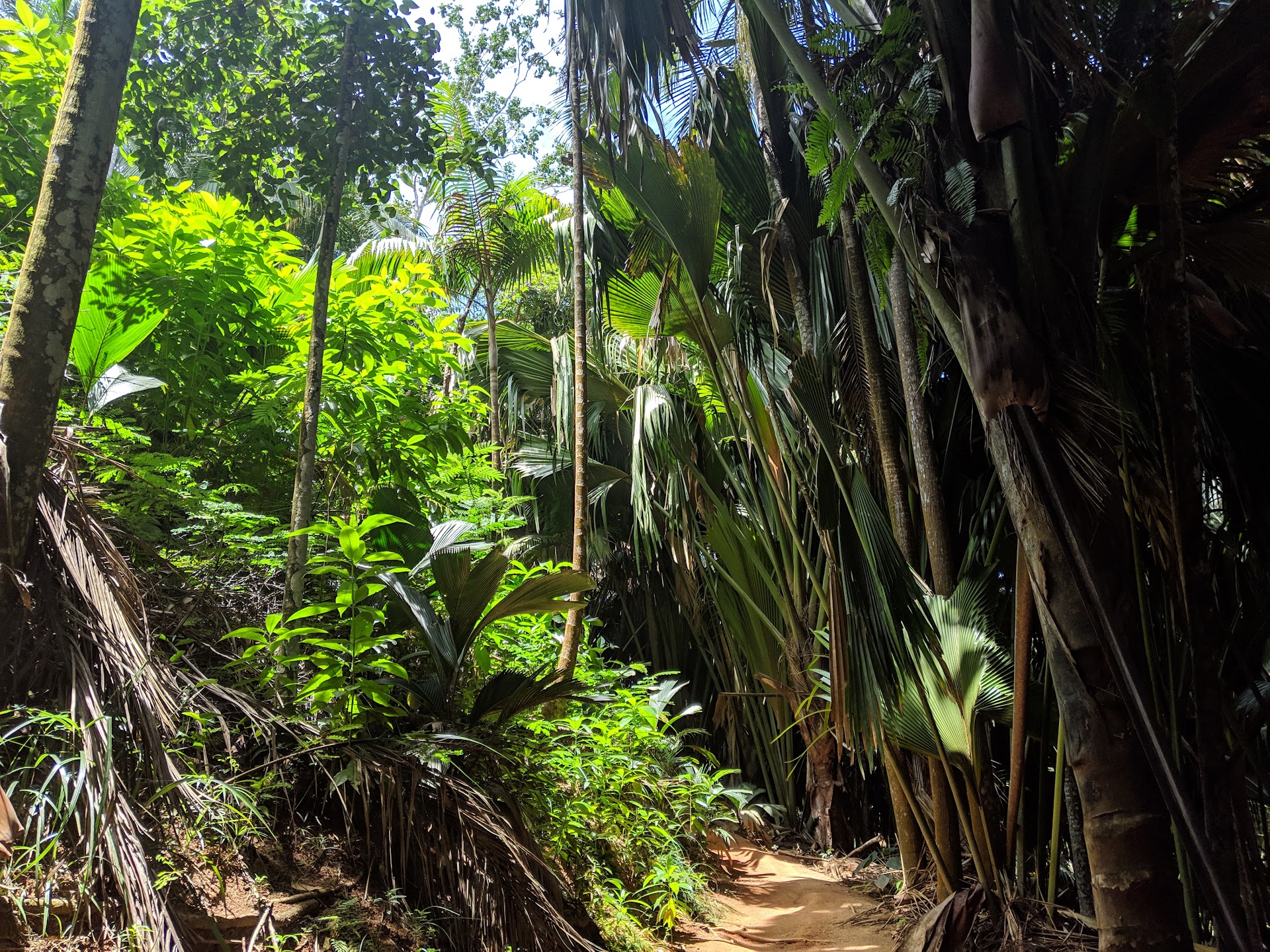 Reserva Natural del Valle de Mai