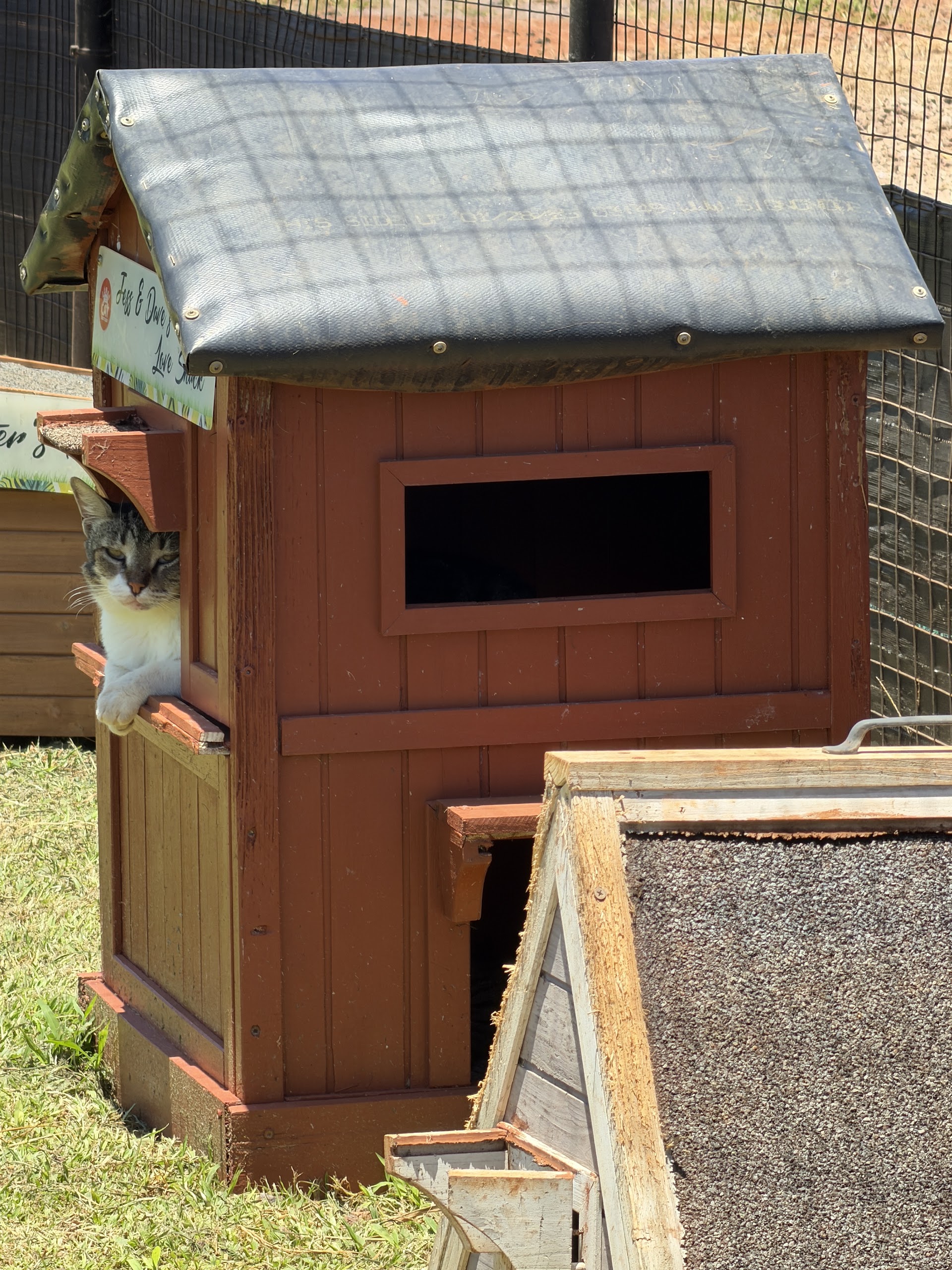 Lānaʻi Cat Sanctuary