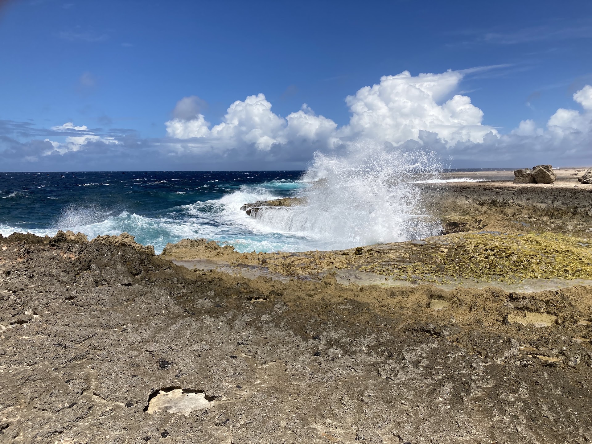 Blow Hole