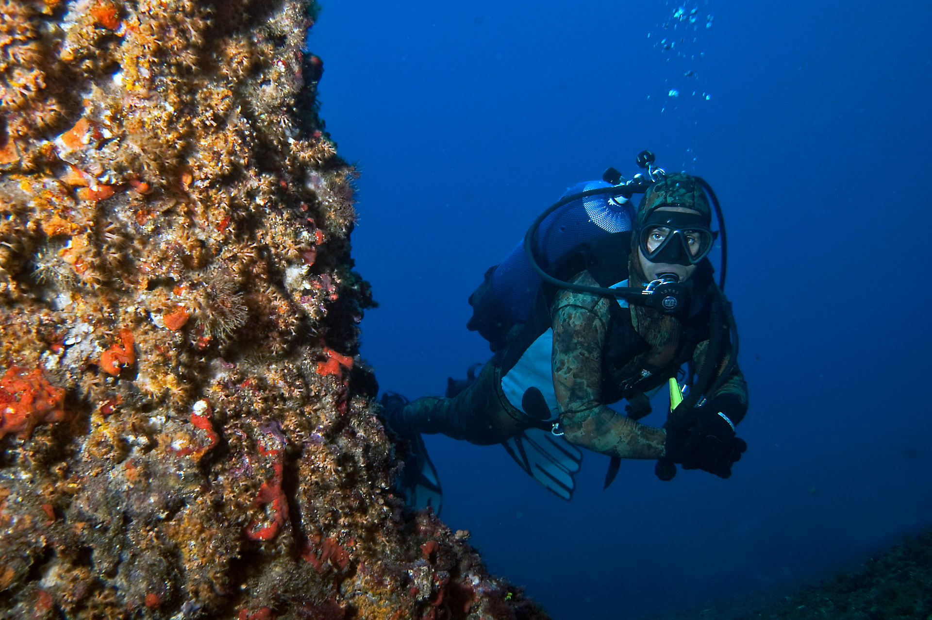 Sandalia Diving Center & Snorkeling