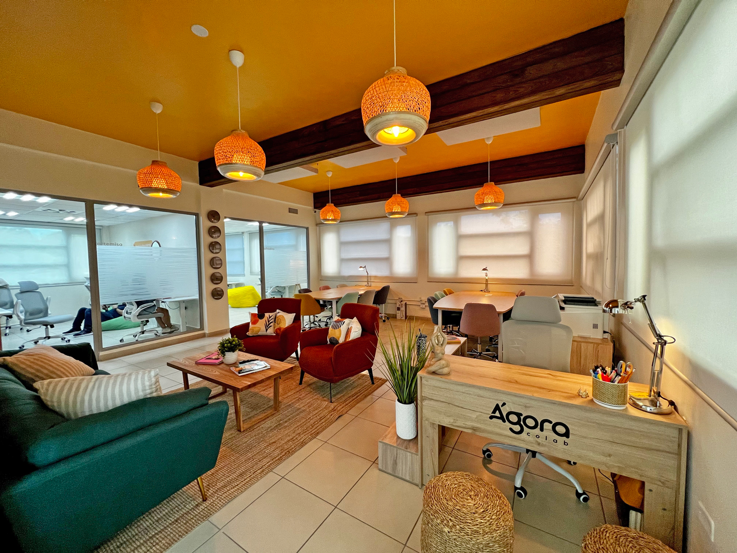 Agora Colab