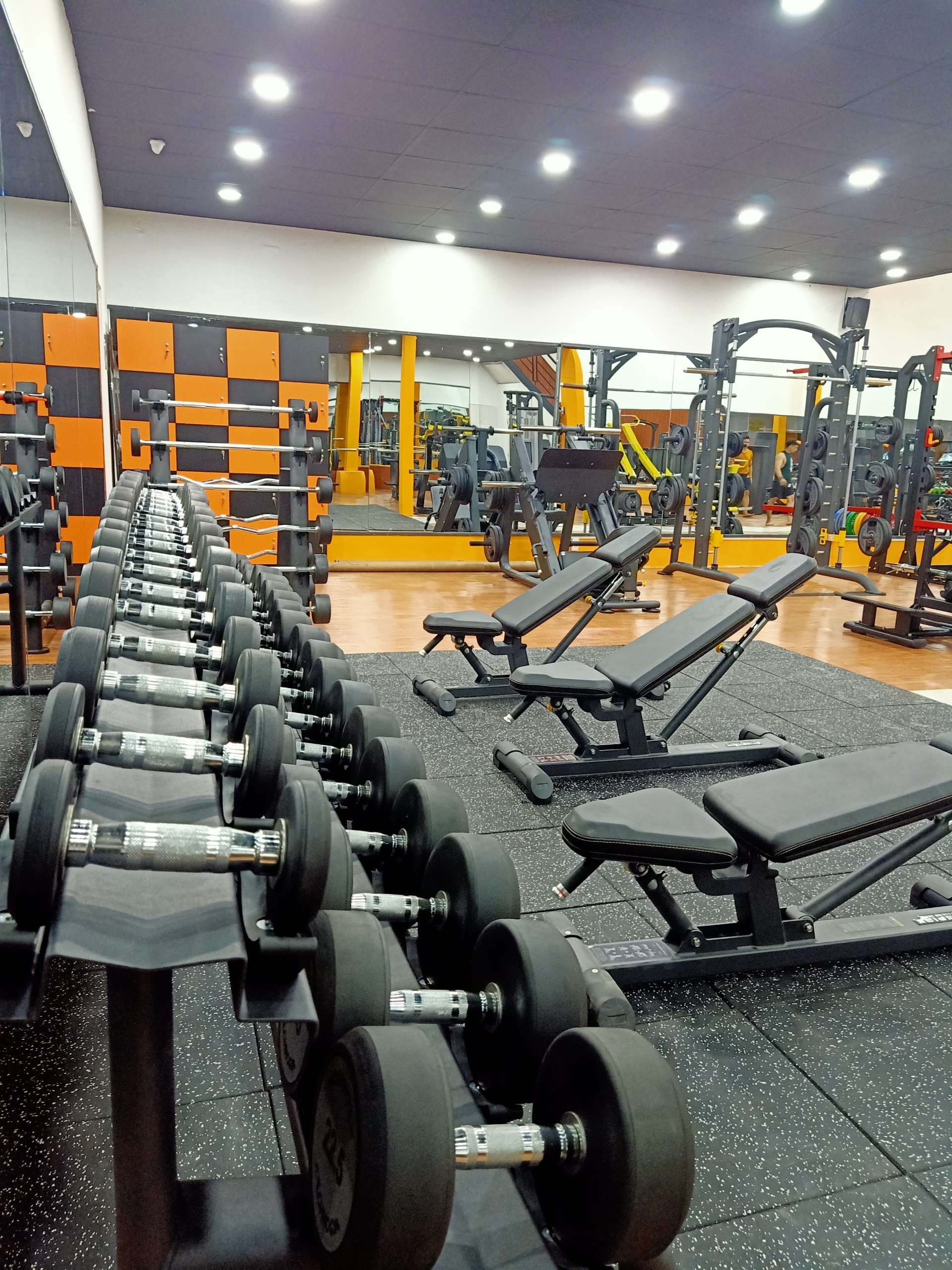 FIT81 Gym Center