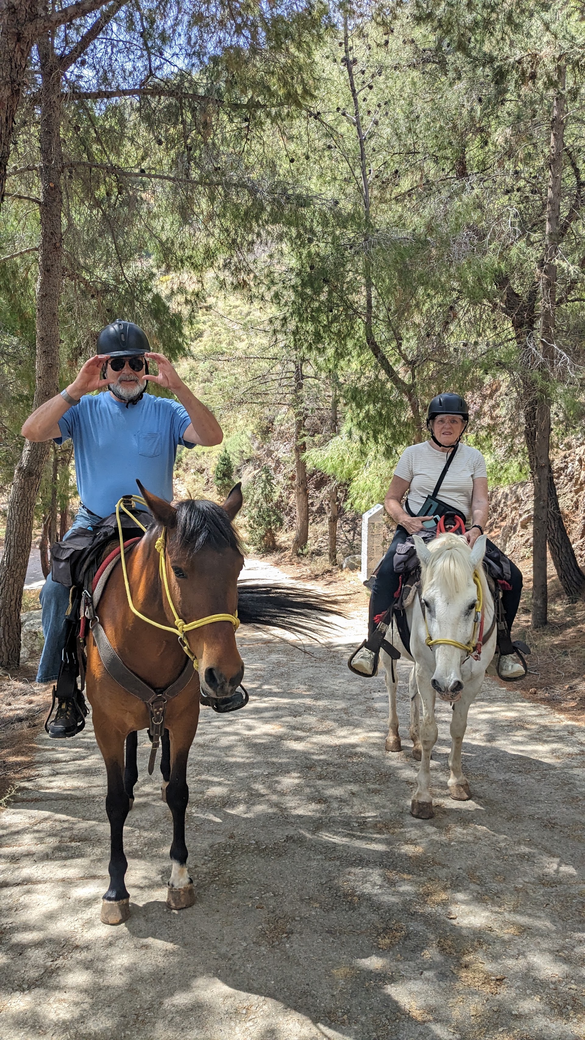 Horseback riding tours in Hydra