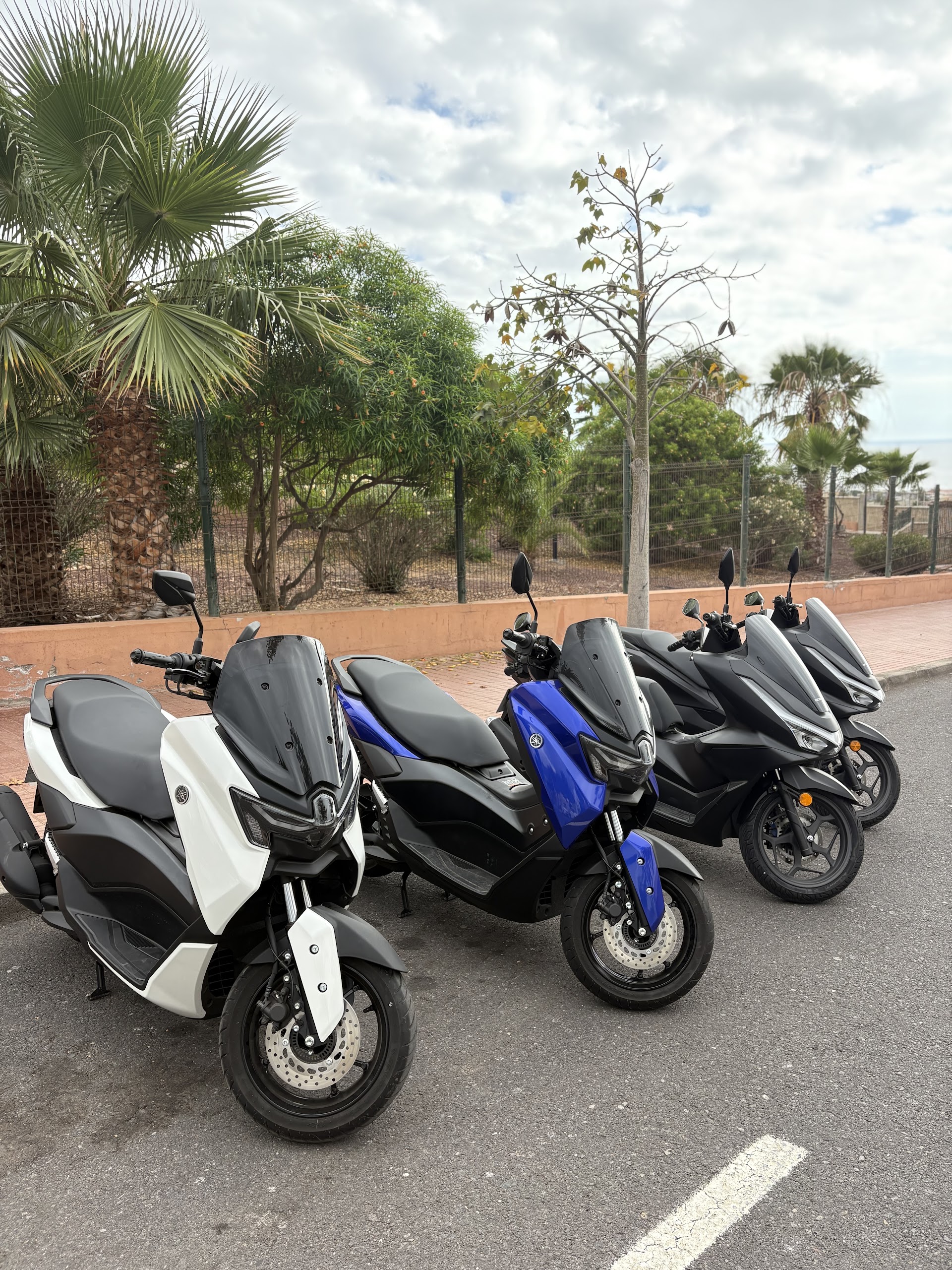 Rey Scooters Tenerife