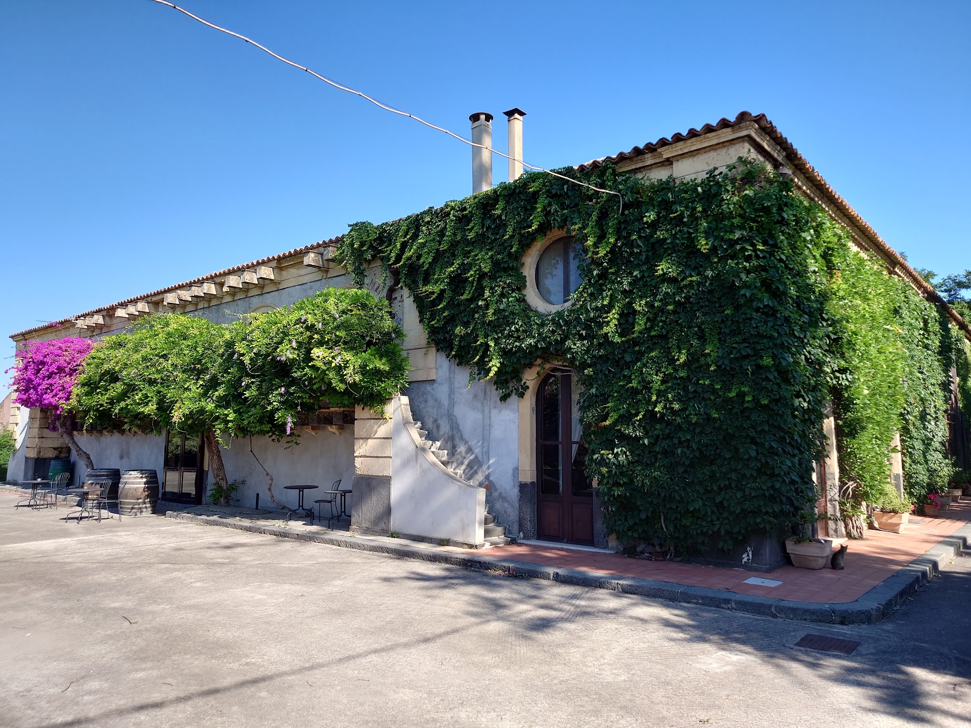 Tenuta del Gelso