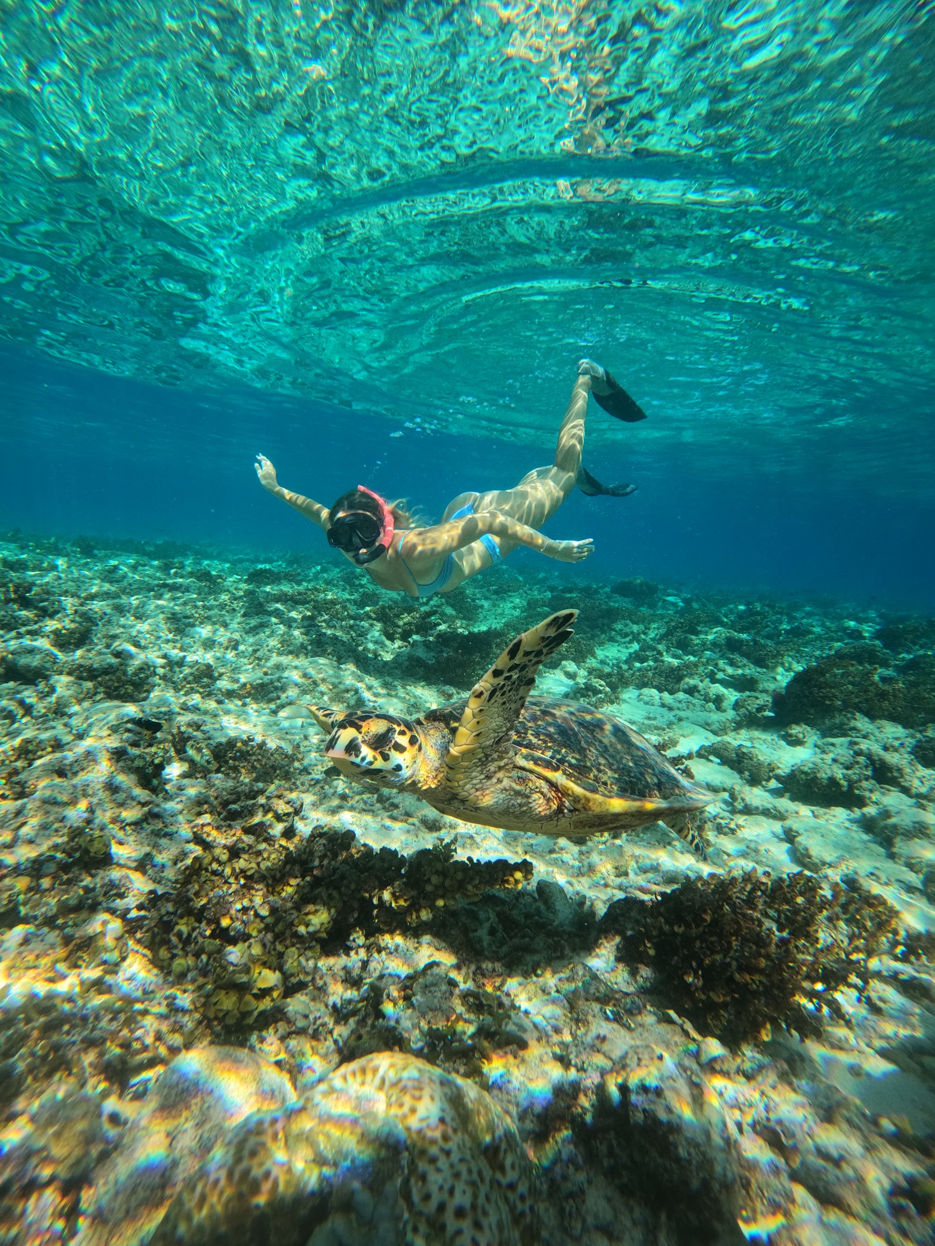 Meno Family snorkeling trips