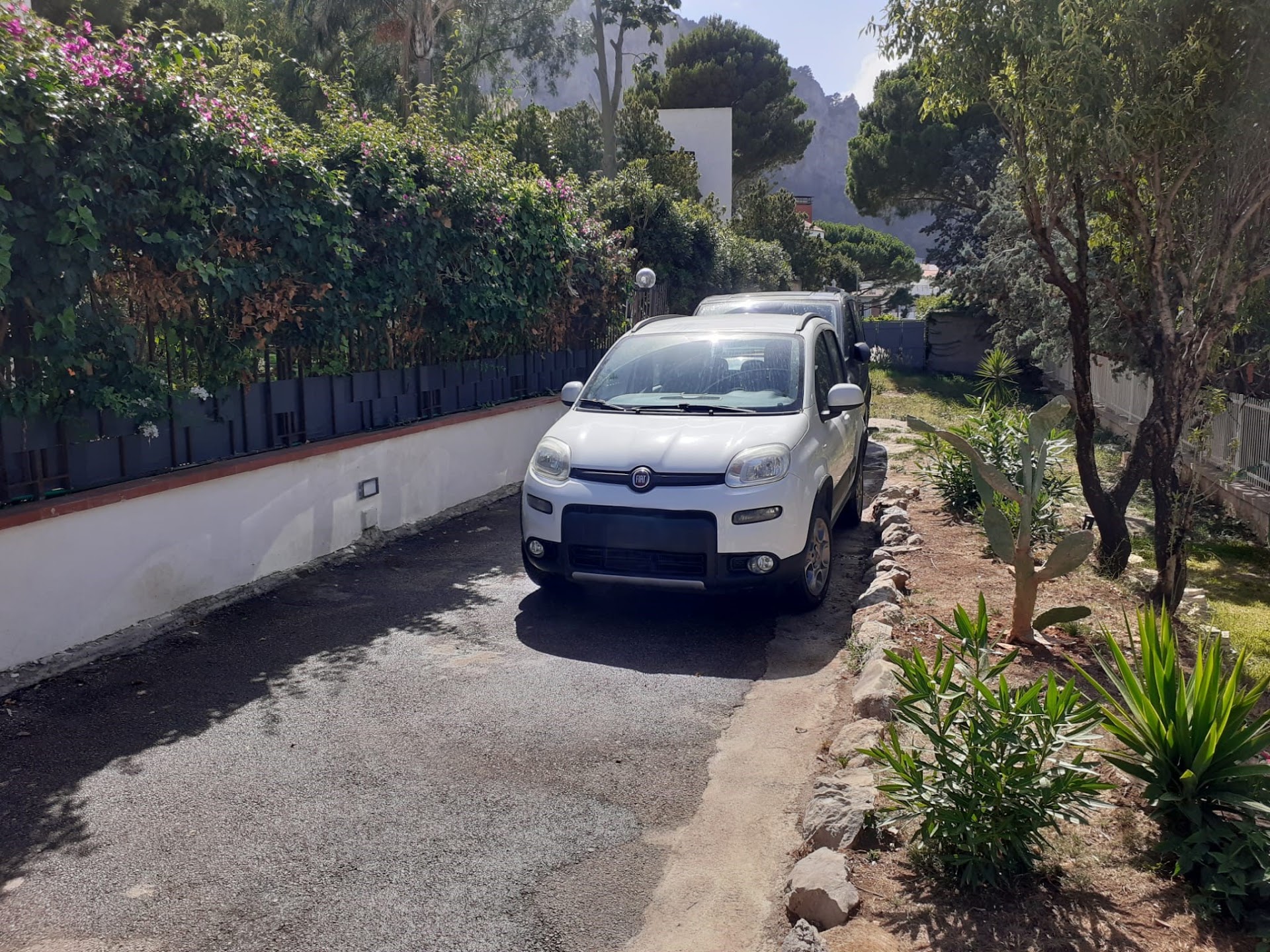 Appa Rental Car