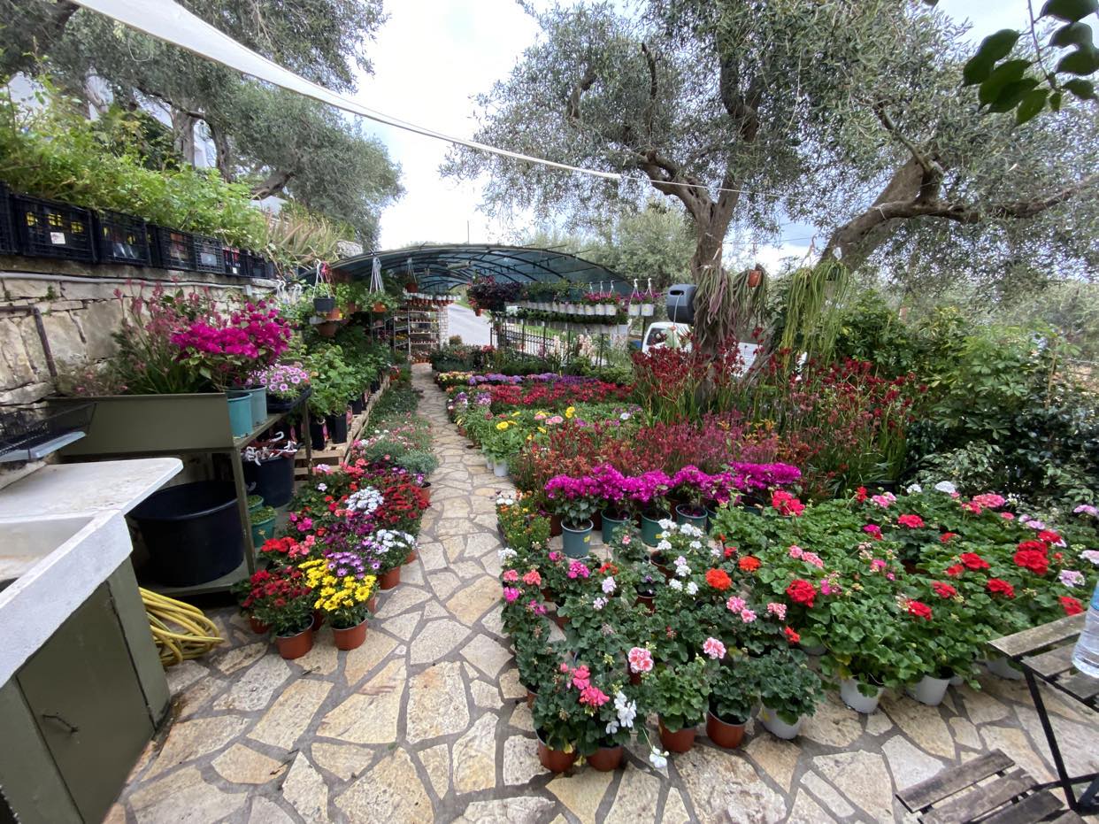 Paxos Guarden