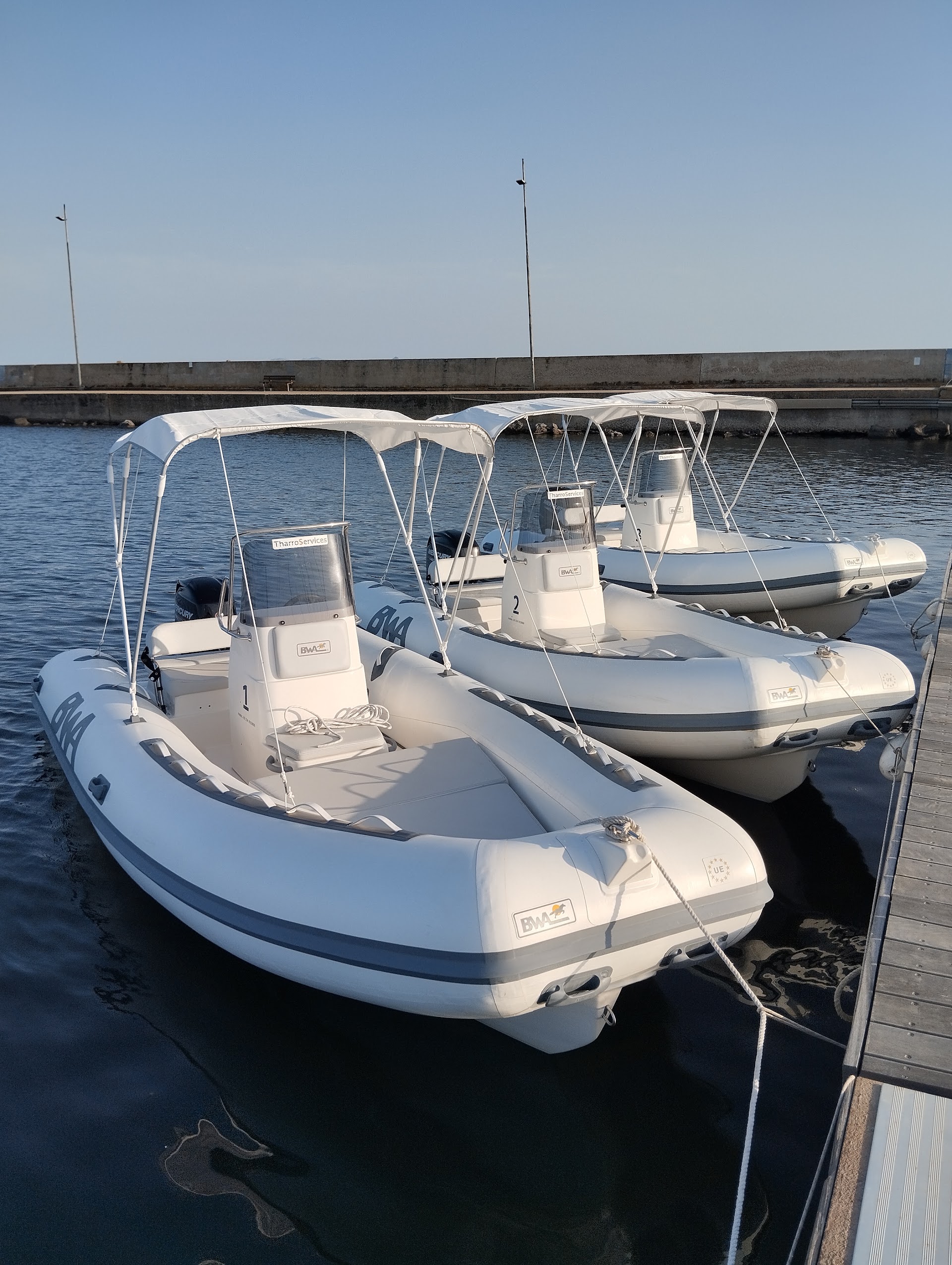 TharroServices di Gian Marco Salis