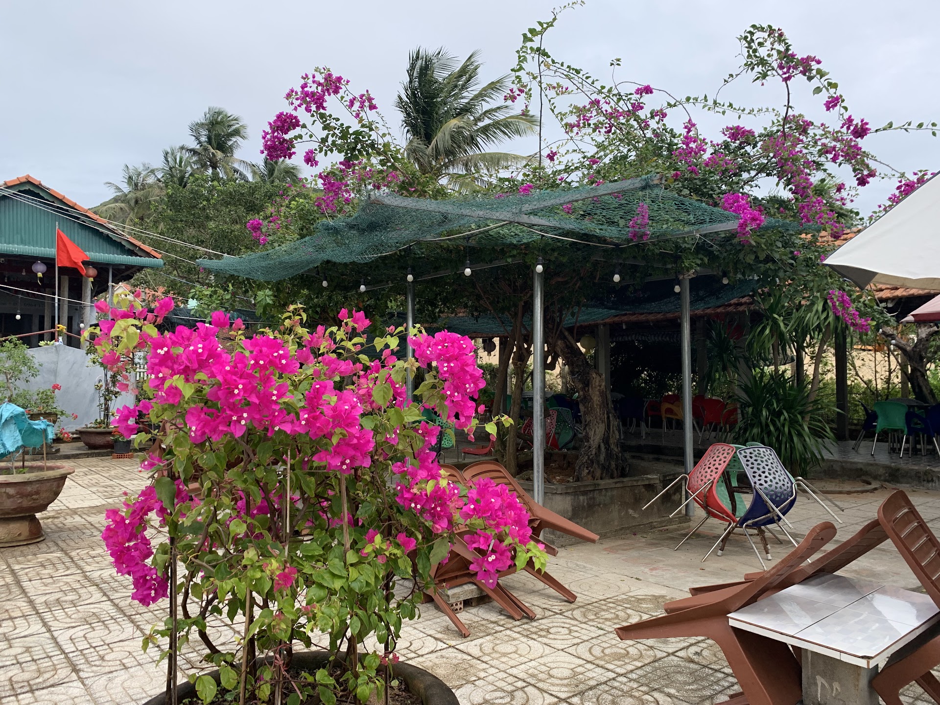 Coffee Shops in Hang Cau