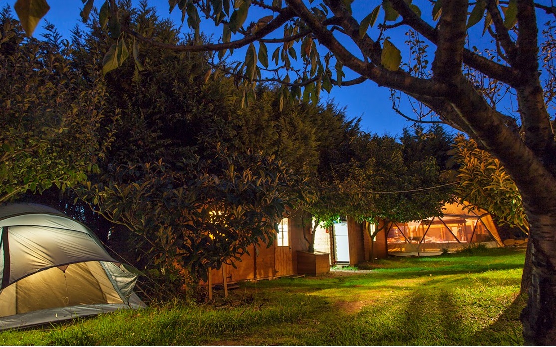Biosurfcamp