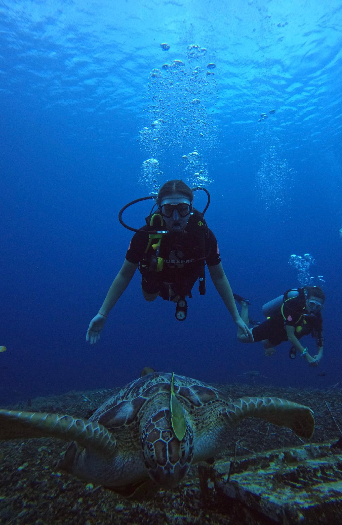 Blue Marine Dive Resort