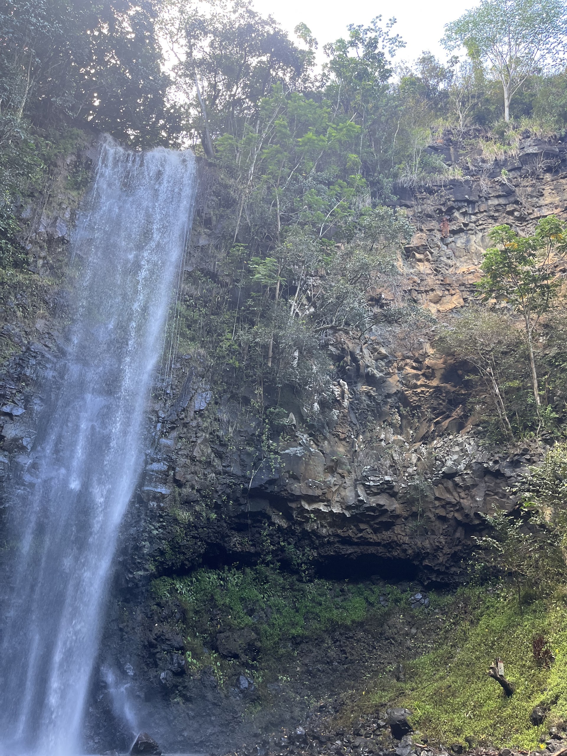 Wailua Kayak & Canoe