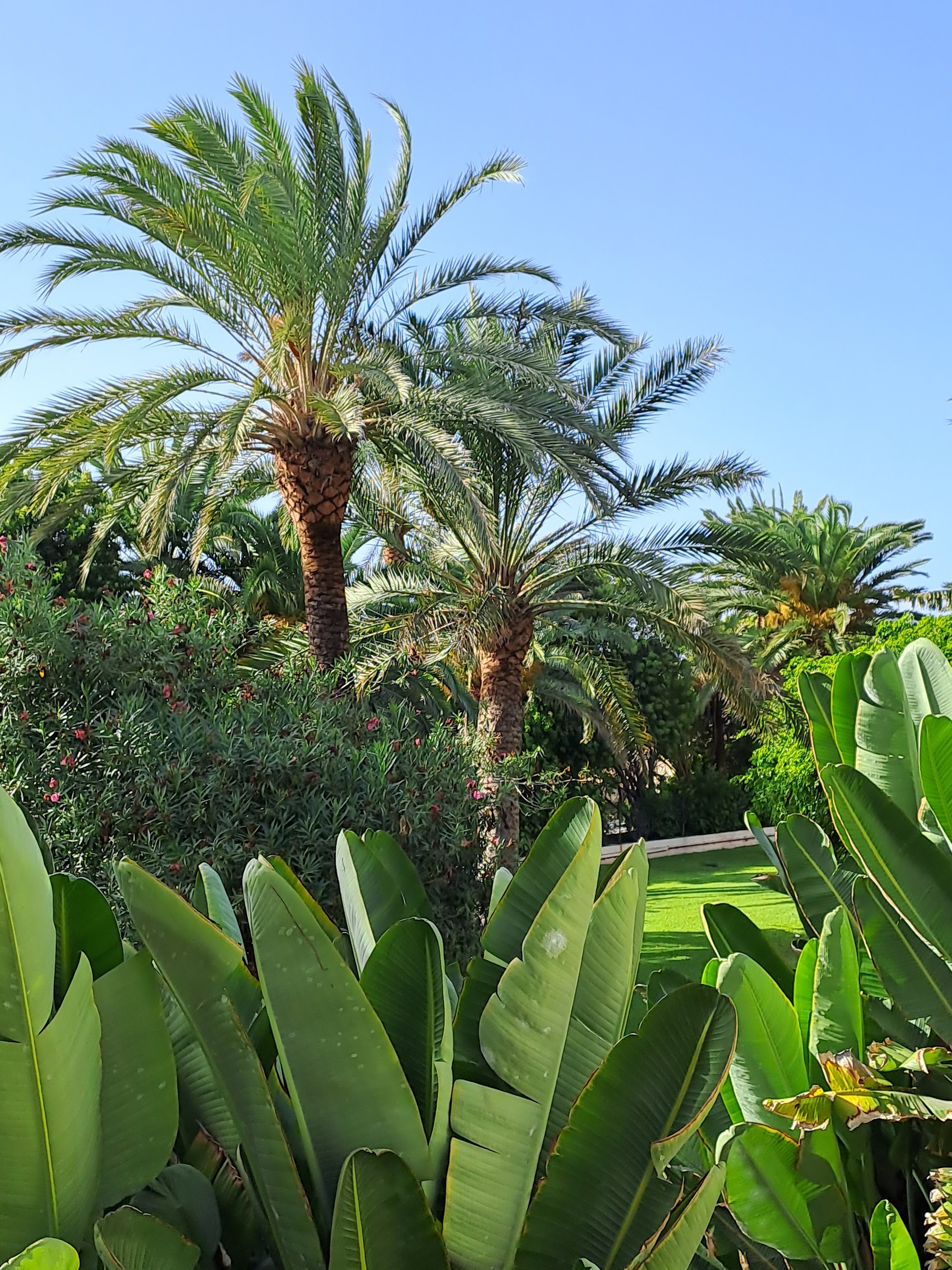TUI Kids Club Oliva Beach